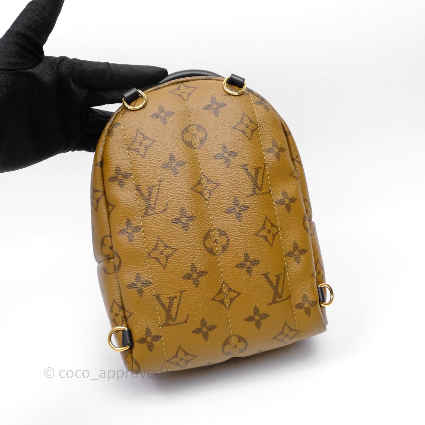 Louis Vuitton Mini Reverse Monogram Palm Springs Backpack⁣