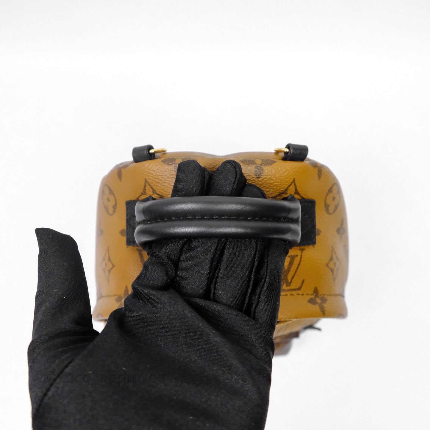 Louis Vuitton Mini Reverse Monogram Palm Springs Backpack⁣