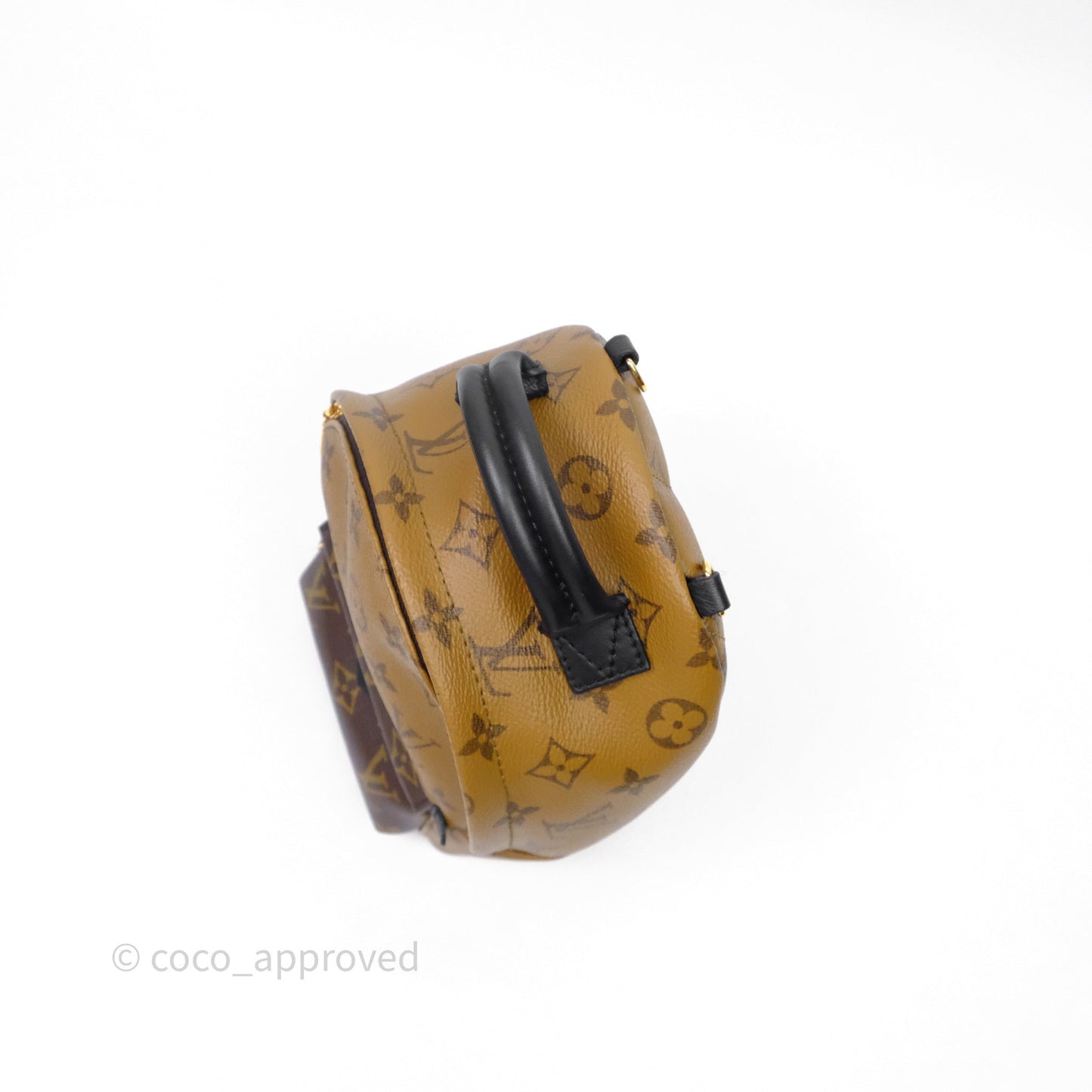 Louis Vuitton Mini Reverse Monogram Palm Springs Backpack⁣