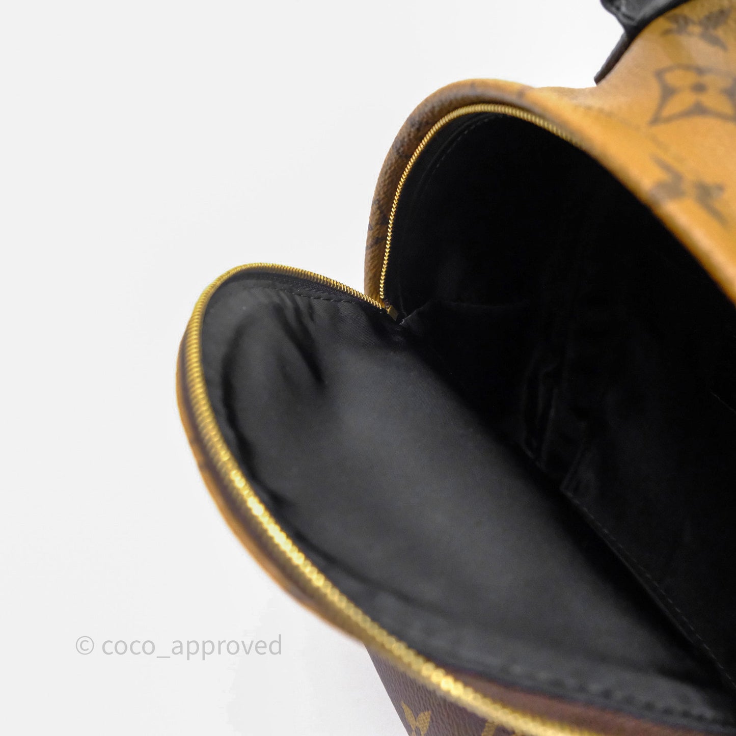 Louis Vuitton Mini Reverse Monogram Palm Springs Backpack⁣