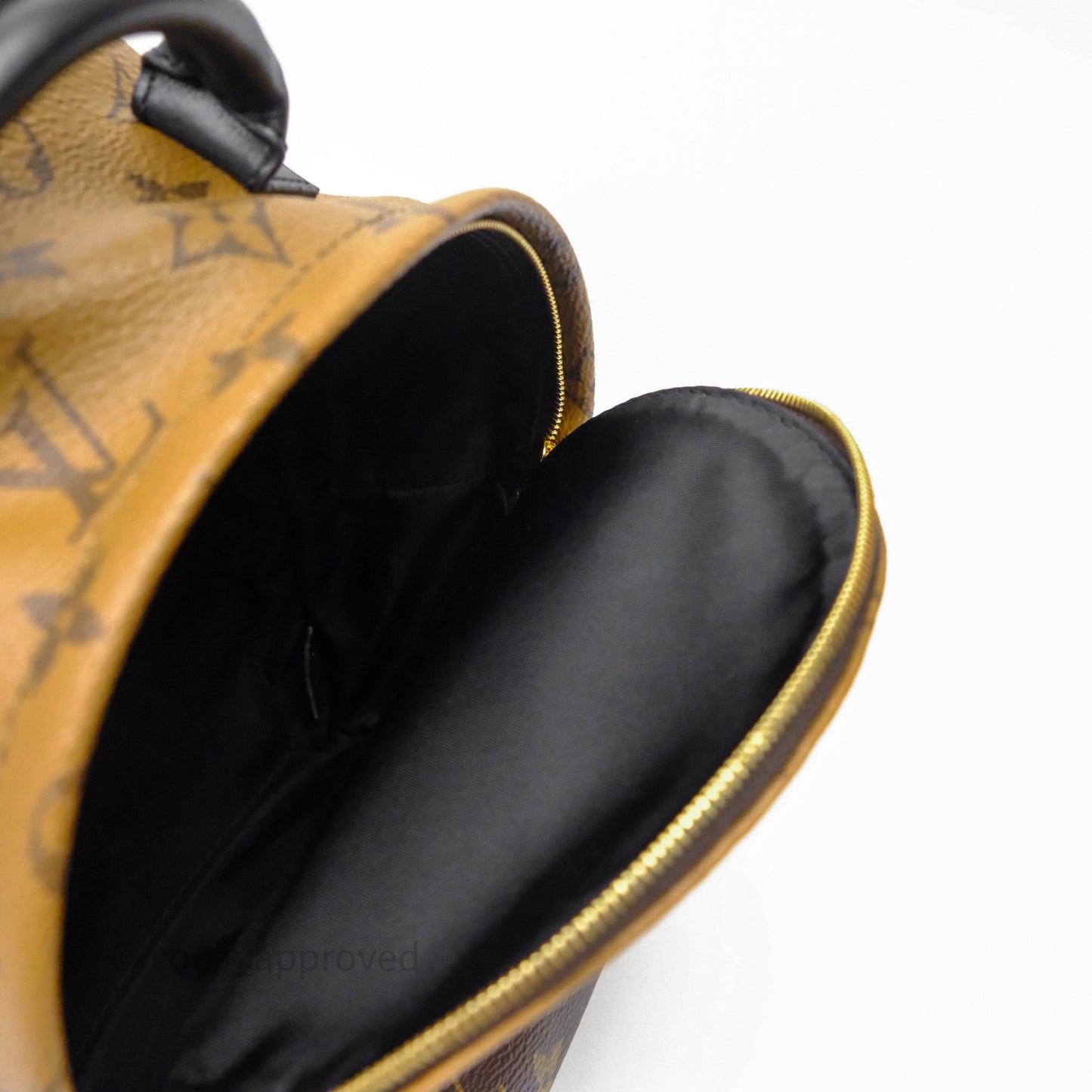 Louis Vuitton Mini Reverse Monogram Palm Springs Backpack⁣