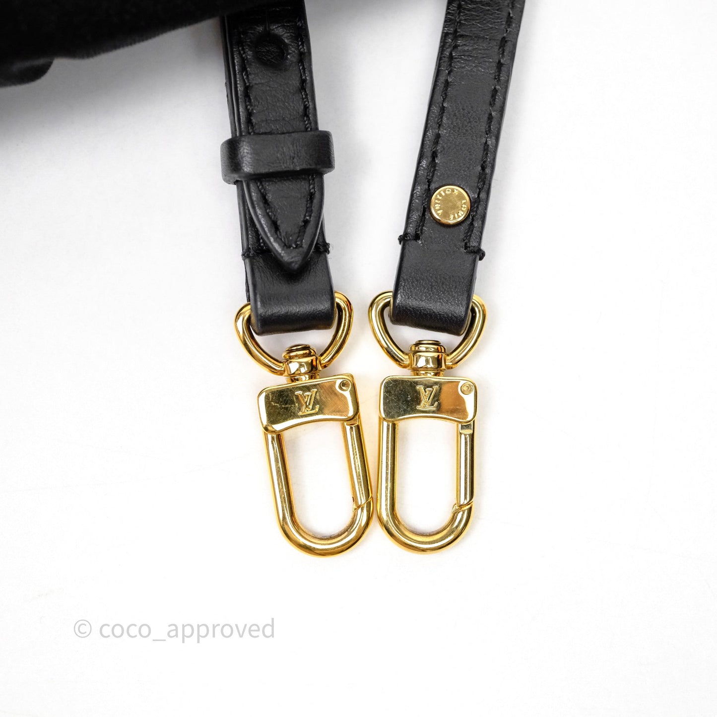 Louis Vuitton Mini Reverse Monogram Palm Springs Backpack⁣