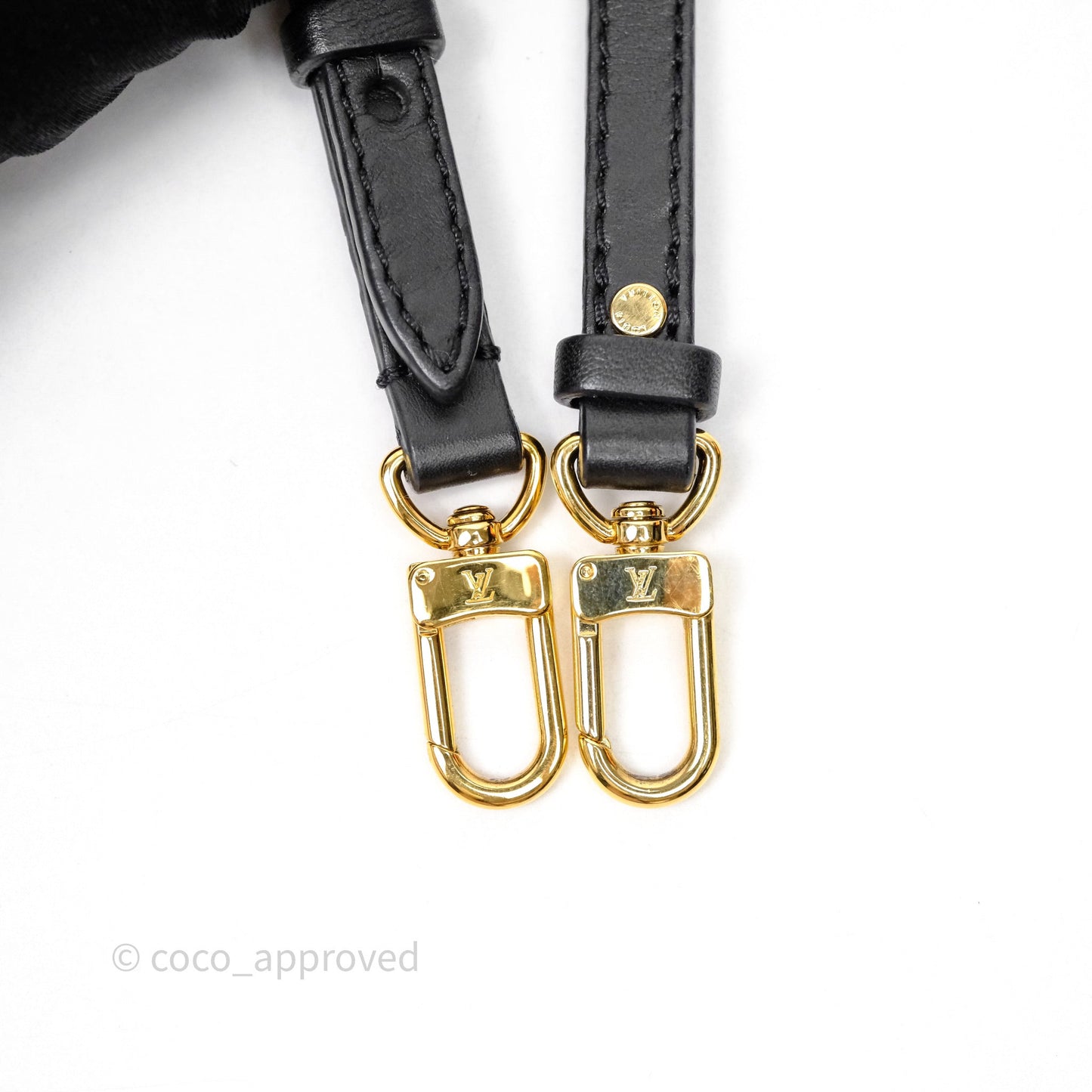 Louis Vuitton Mini Reverse Monogram Palm Springs Backpack⁣