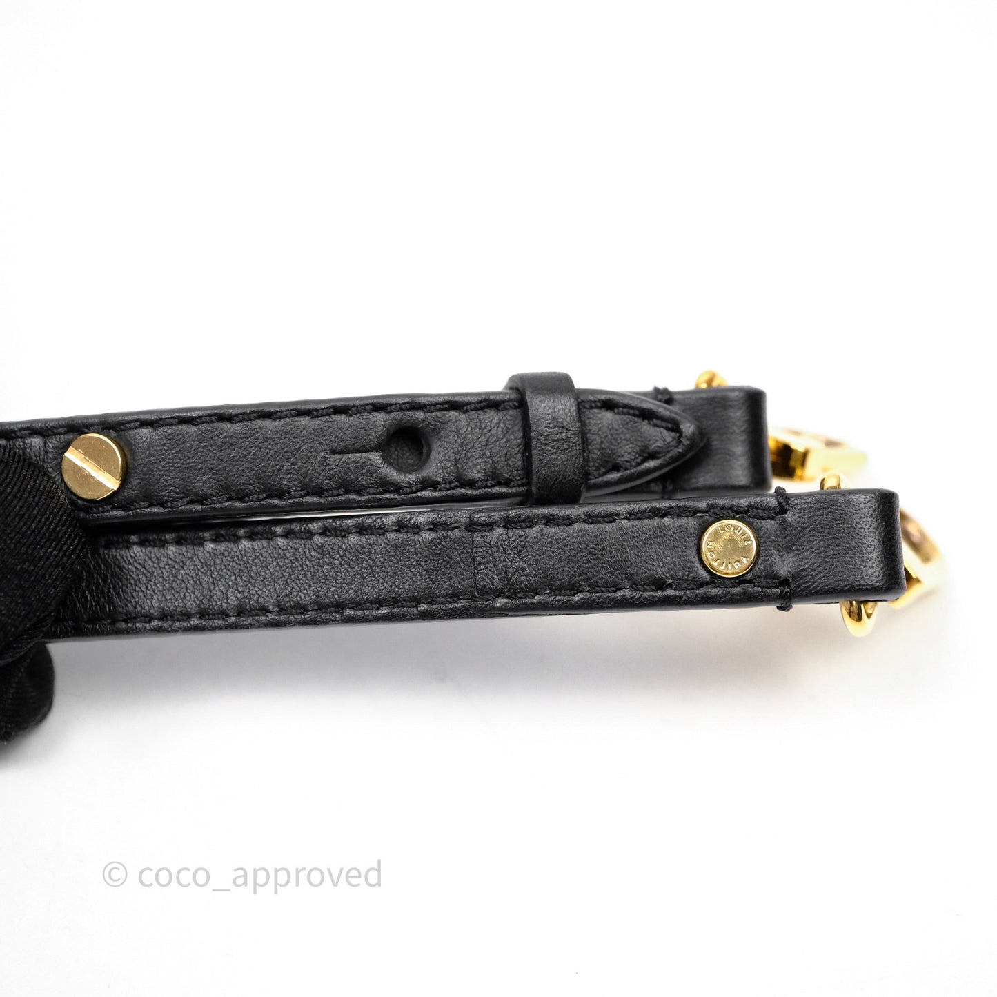 Louis Vuitton Mini Reverse Monogram Palm Springs Backpack⁣