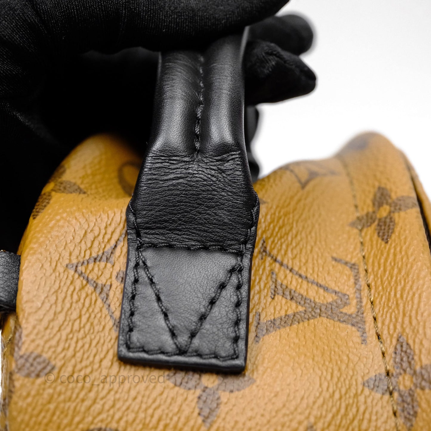 Louis Vuitton Mini Reverse Monogram Palm Springs Backpack⁣