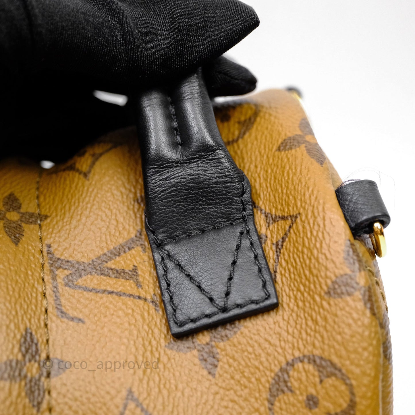 Louis Vuitton Mini Reverse Monogram Palm Springs Backpack⁣