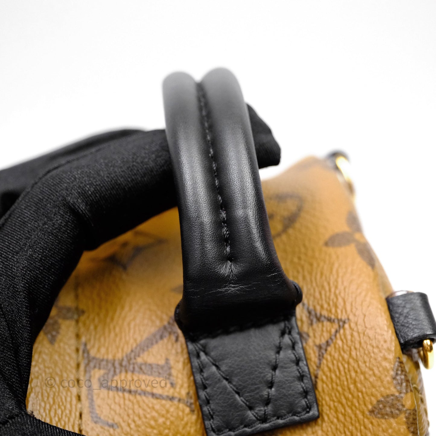 Louis Vuitton Mini Reverse Monogram Palm Springs Backpack⁣