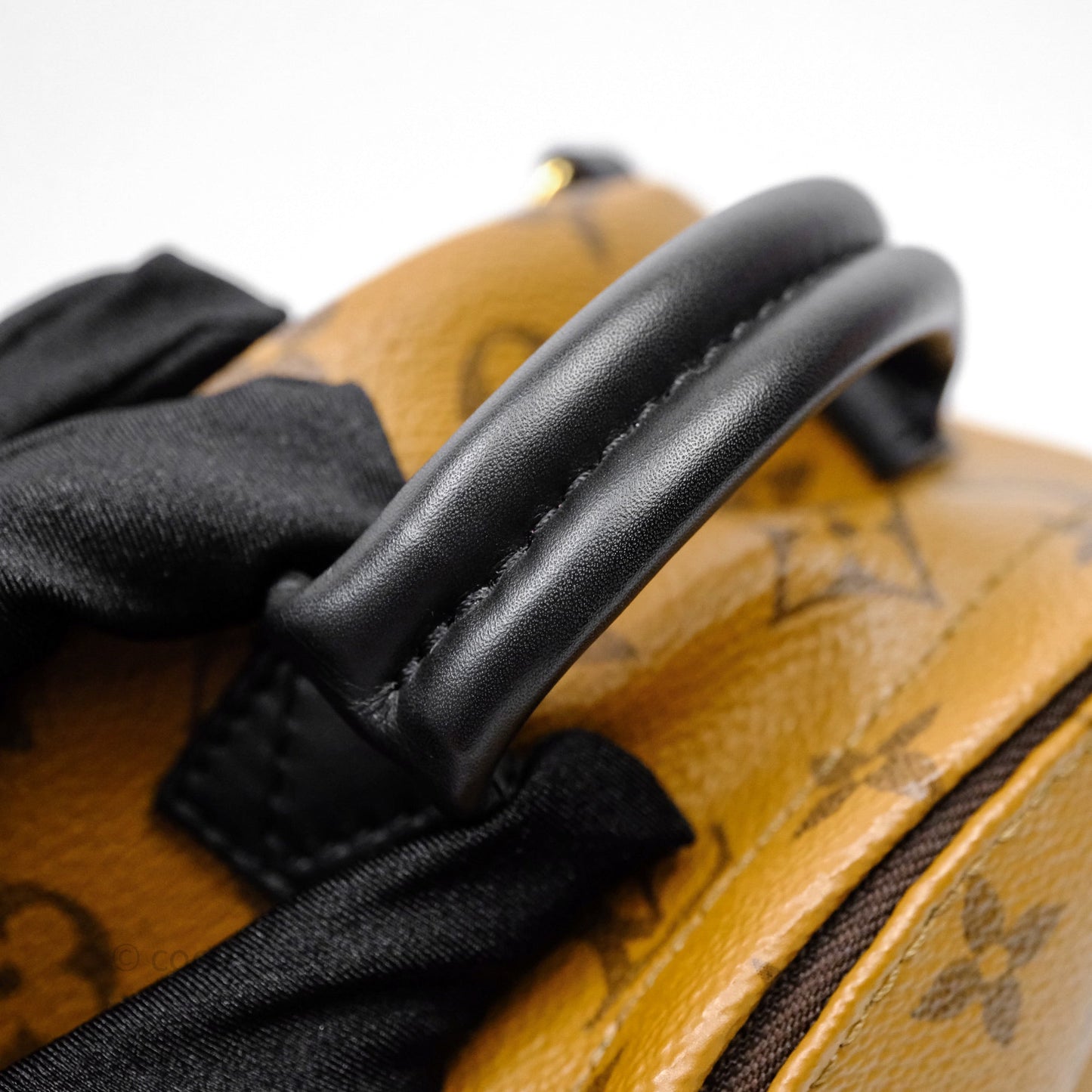 Louis Vuitton Mini Reverse Monogram Palm Springs Backpack⁣
