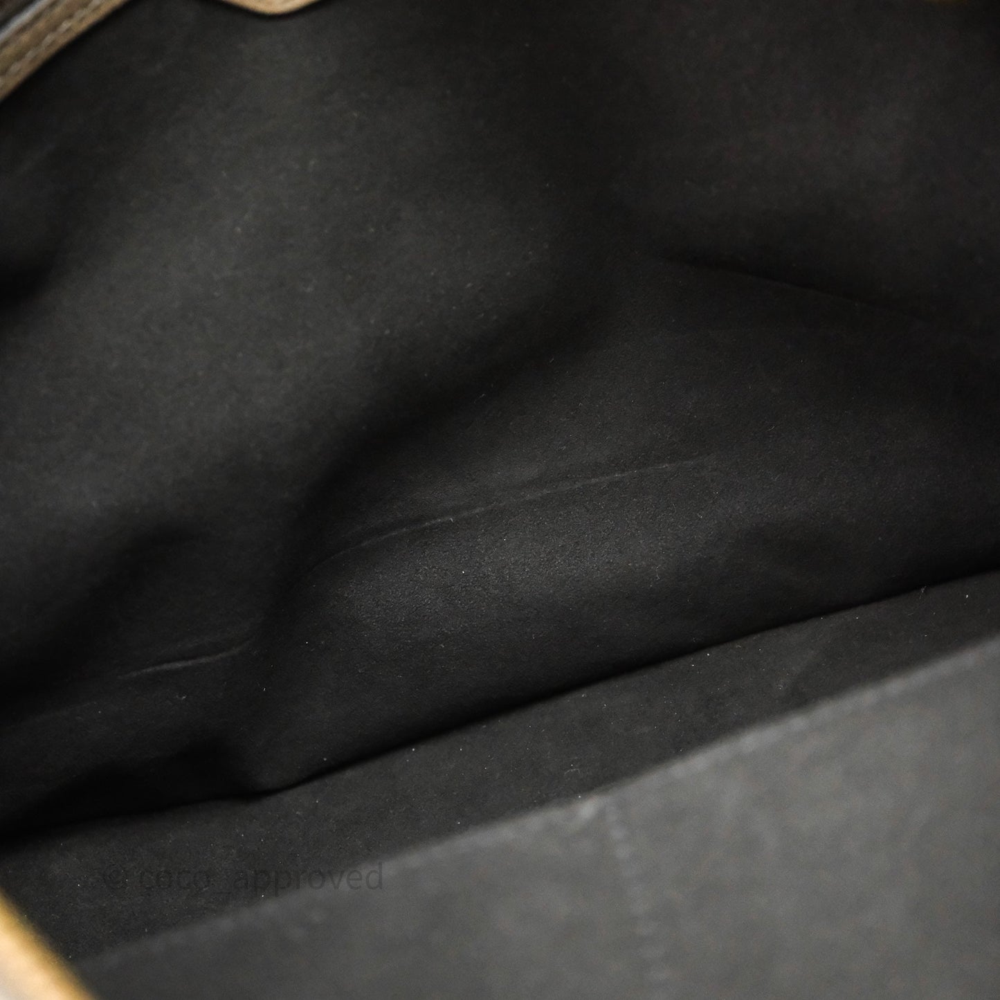 Louis Vuitton Taupe Monogram Stellar PM Bag