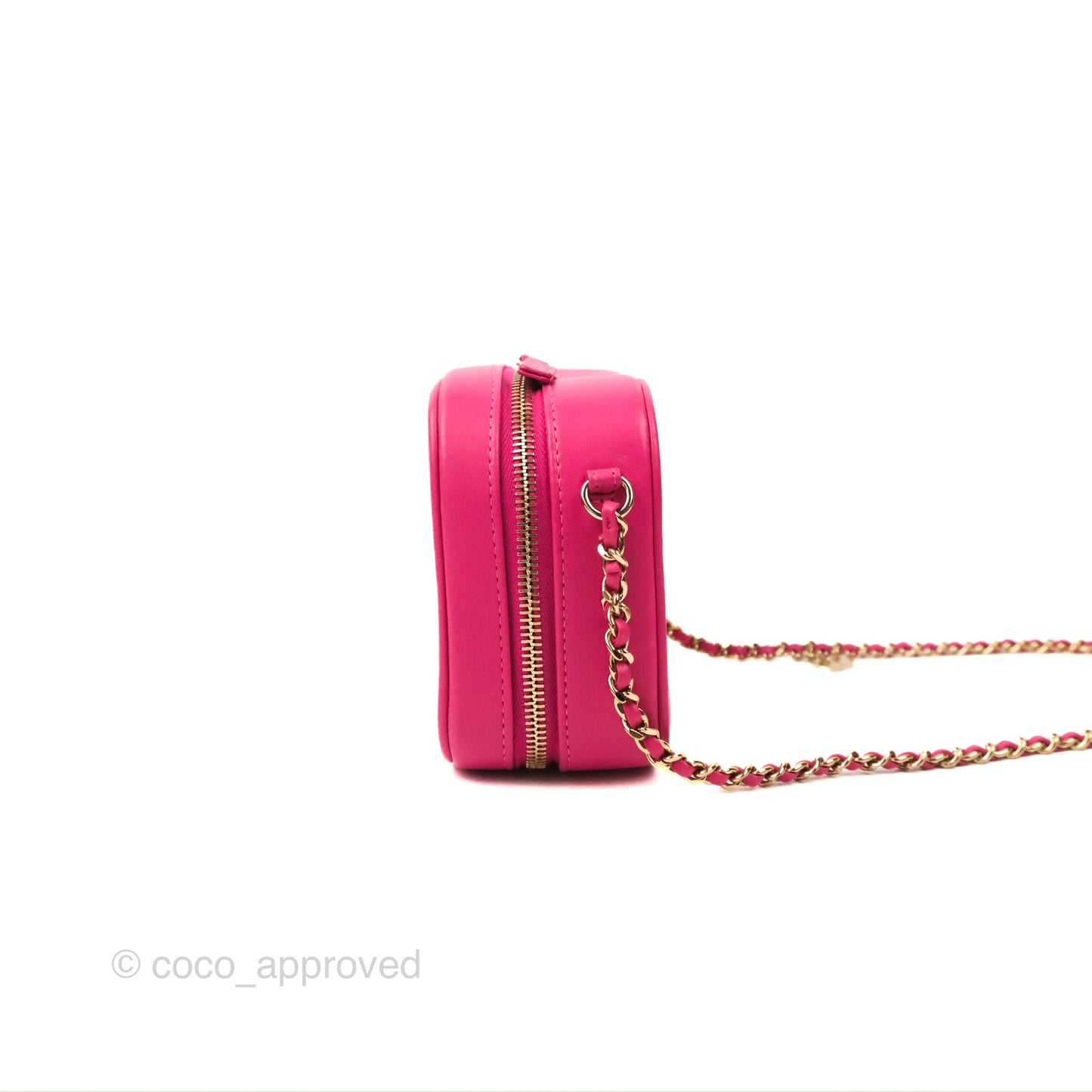 Chanel CC Mania Camera Case Pink Lambskin Gold Hardware