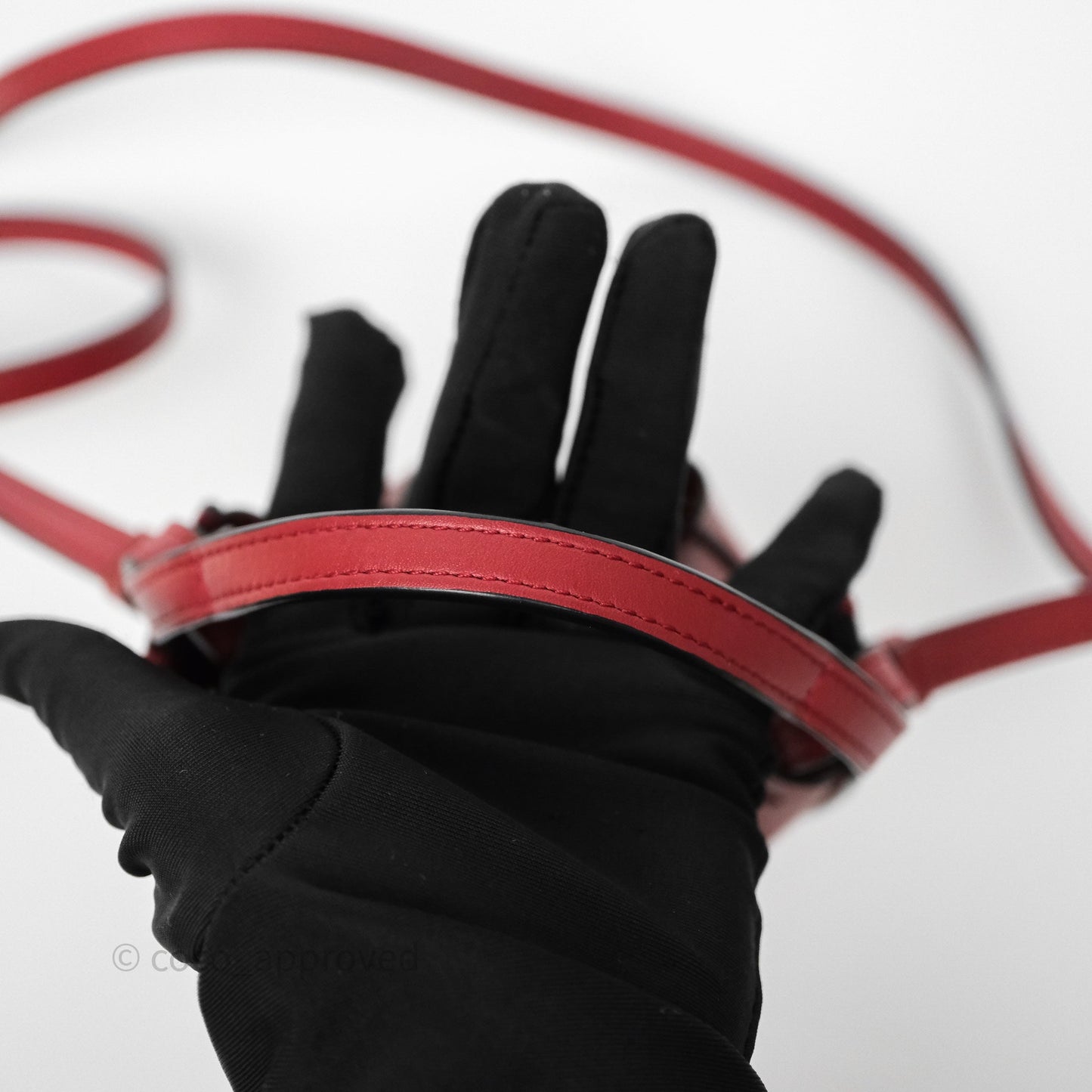 Loewe Nano Balloon Bucket Bag Deep Red Calfskin