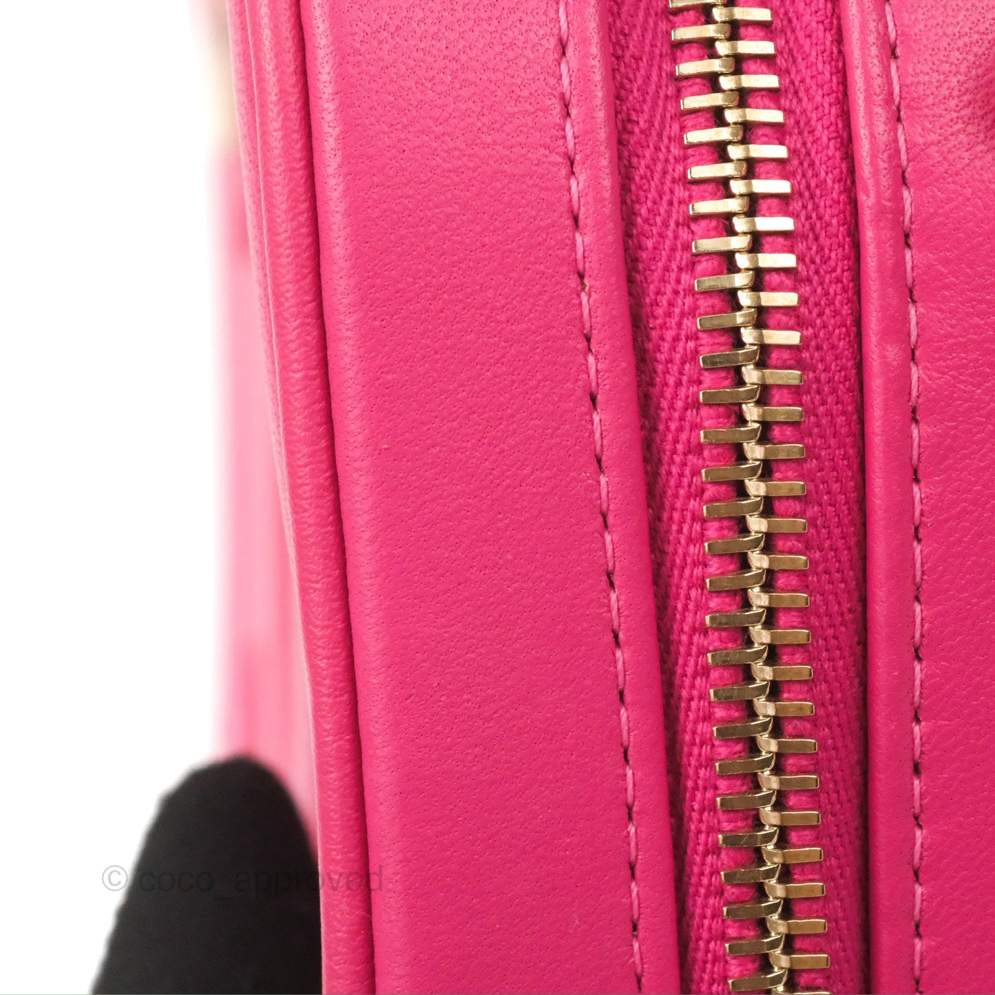 Chanel CC Mania Camera Case Pink Lambskin Gold Hardware