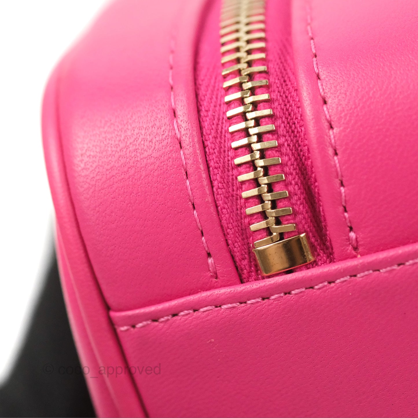 Chanel CC Mania Camera Case Pink Lambskin Gold Hardware