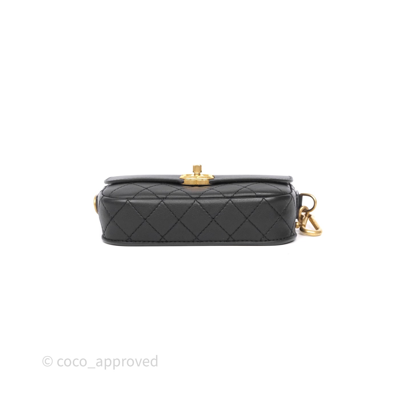 Chanel Quilted Flap Bag with Coin Purse Black Calfksin Aged Gold Hardware