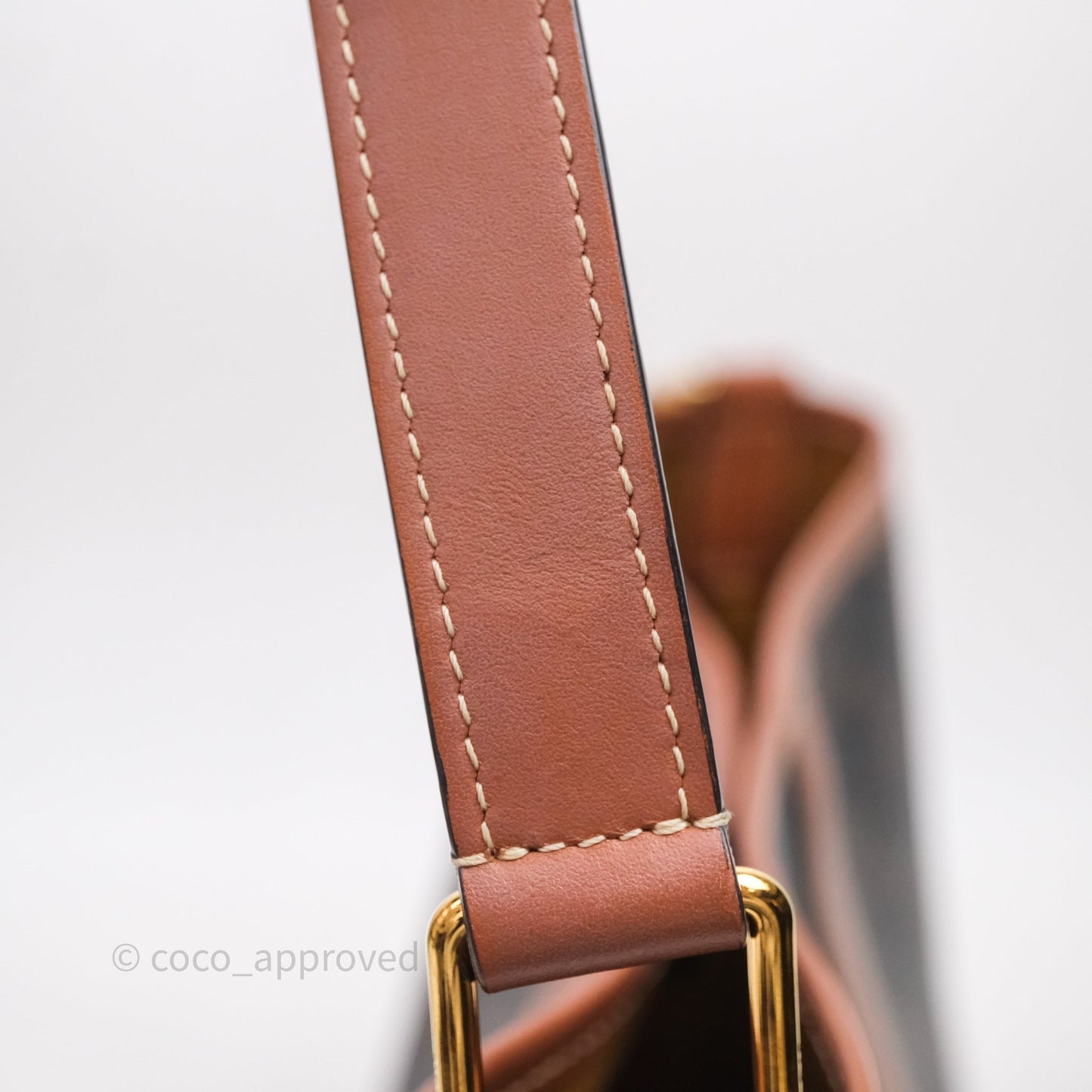 Celine Small Bucket Triomphe Canvas Tan Calfskin