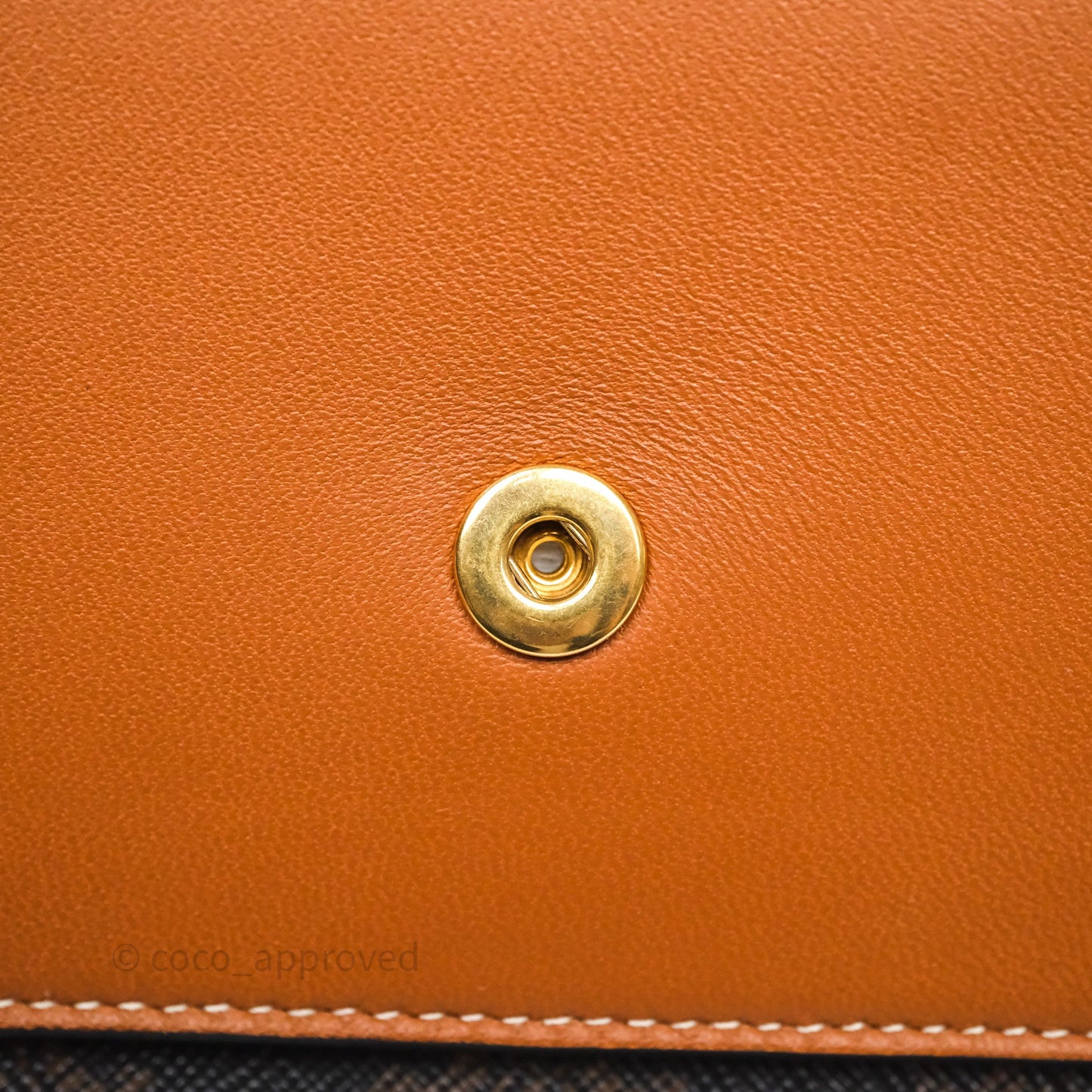 Celine Wallet On Strap Triomphe Canvas Tan Lambskin