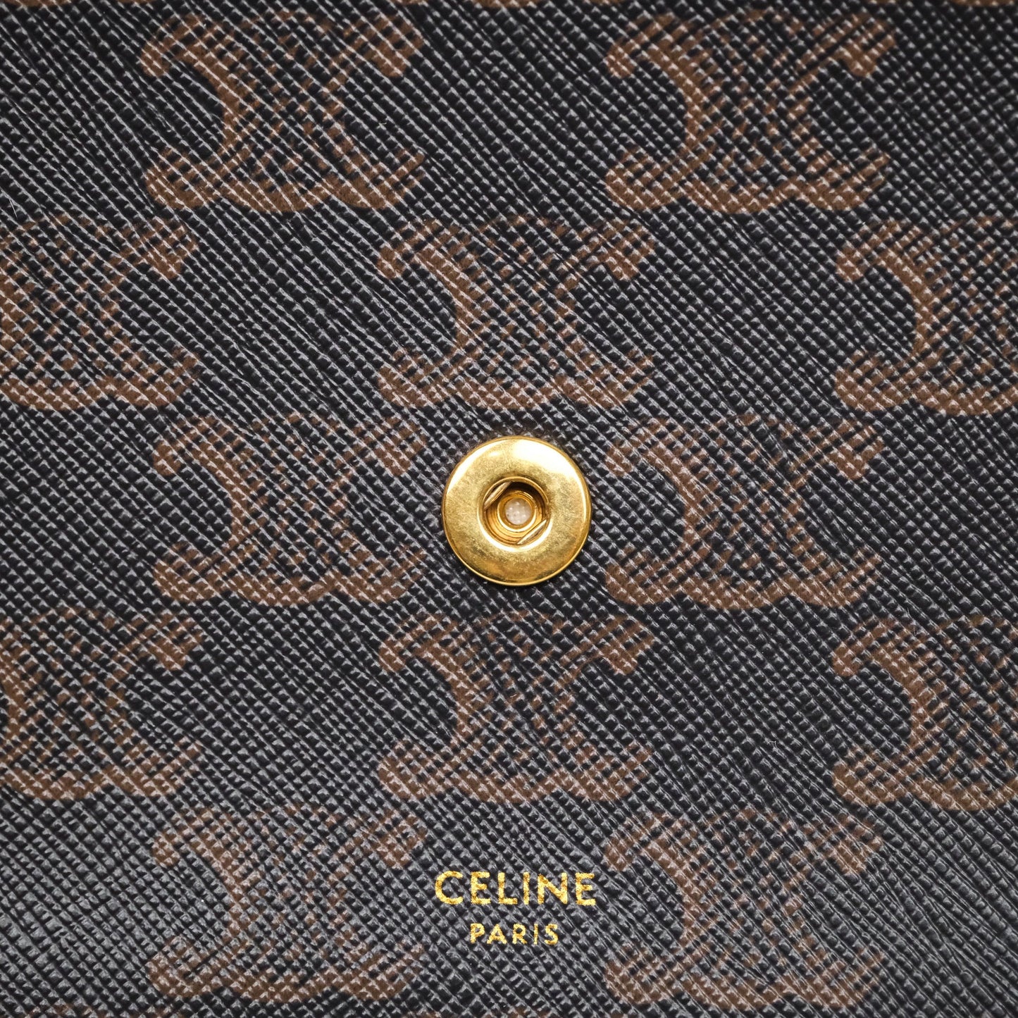 Celine Wallet On Strap Triomphe Canvas Tan Lambskin