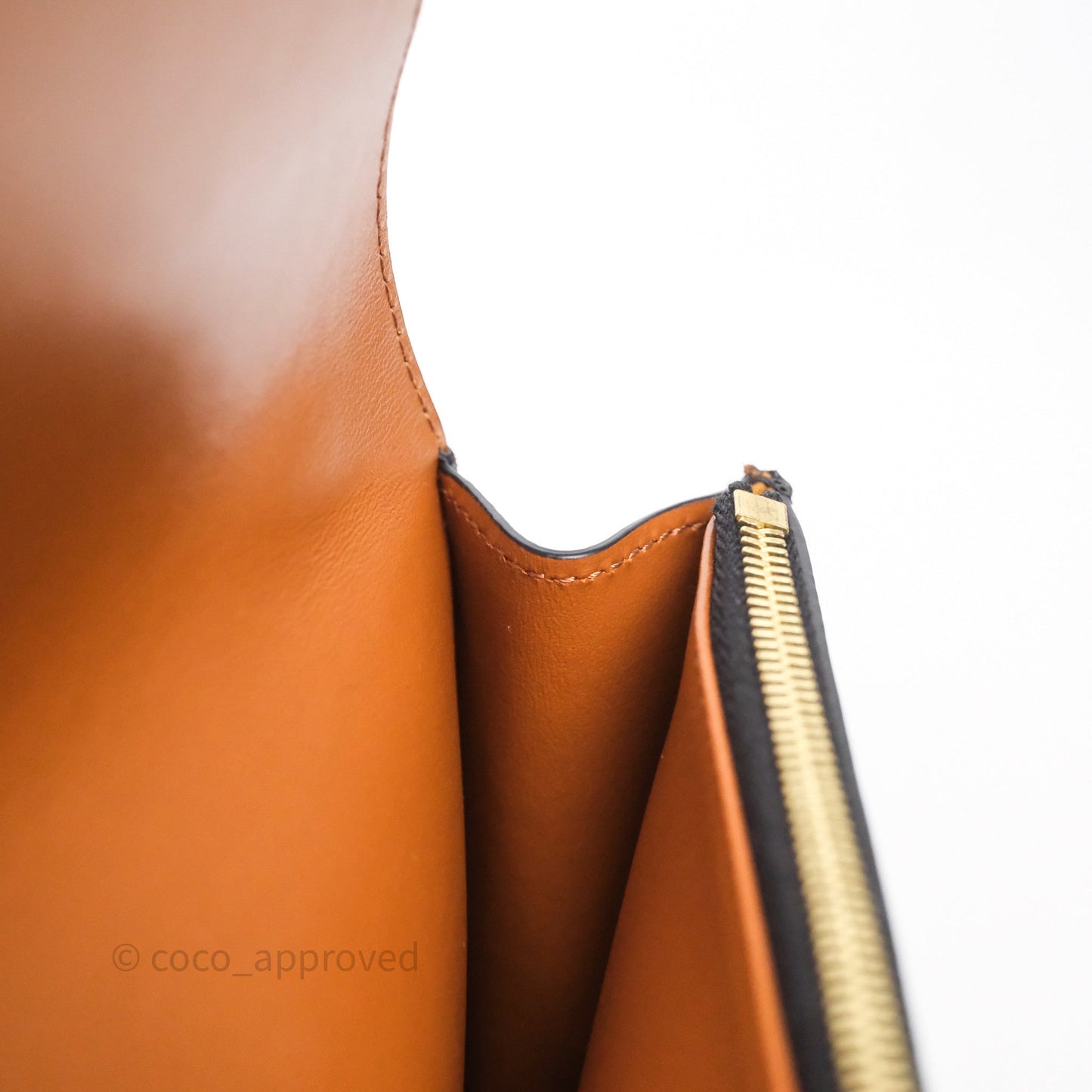 Celine Wallet On Strap Triomphe Canvas Tan Lambskin