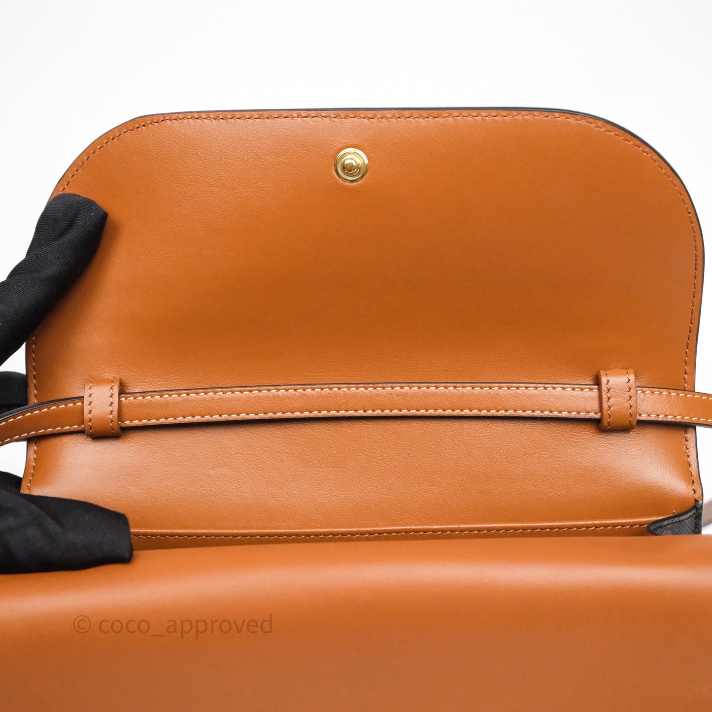 Celine Wallet On Strap Triomphe Canvas Tan Lambskin
