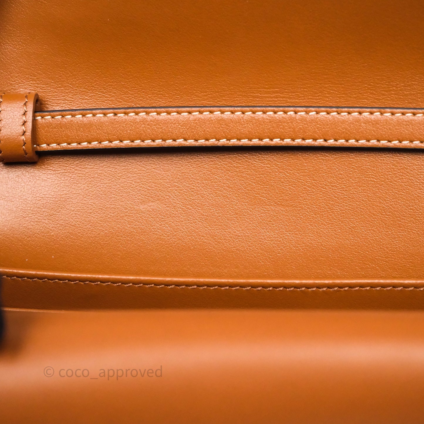 Celine Wallet On Strap Triomphe Canvas Tan Lambskin