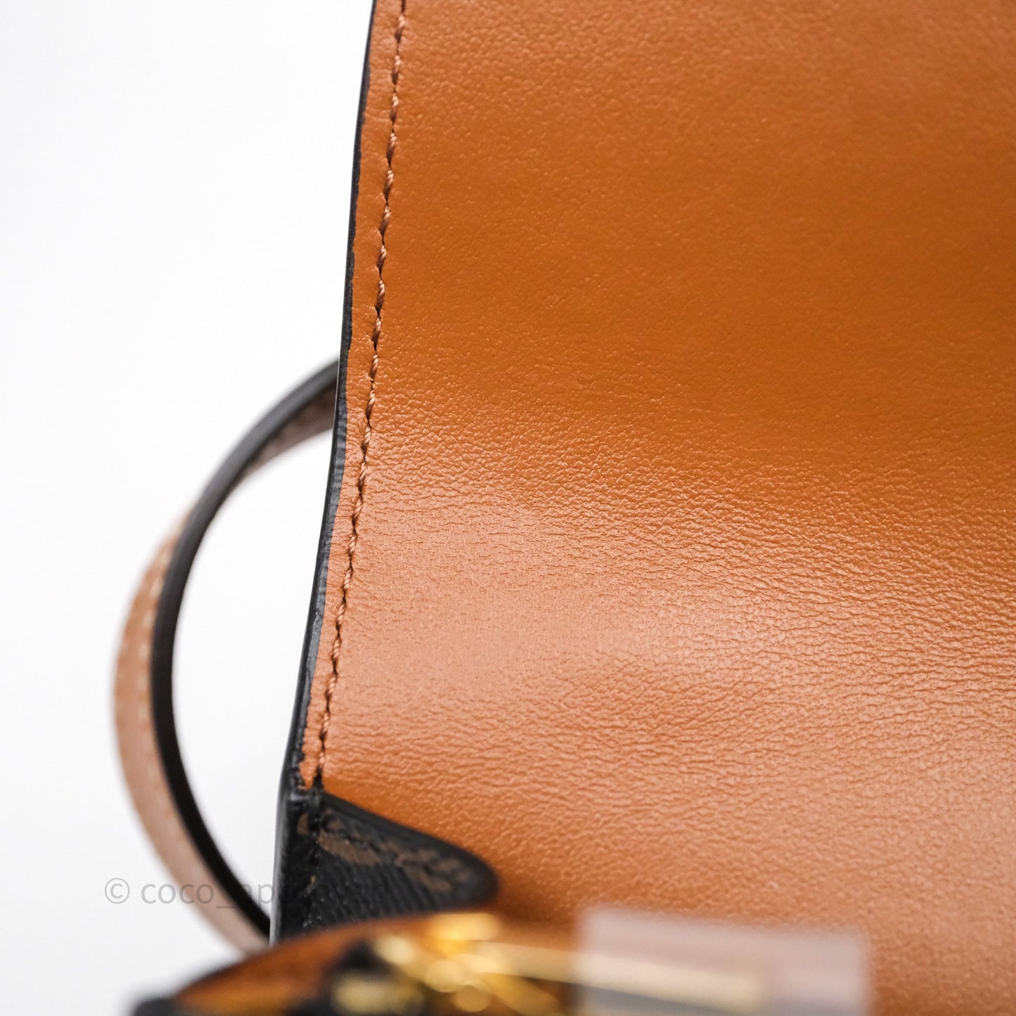 Celine Wallet On Strap Triomphe Canvas Tan Lambskin
