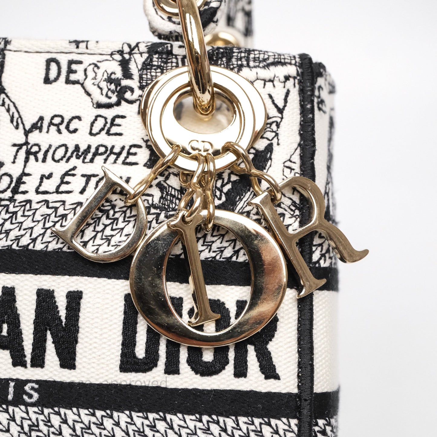 Christian Dior Mini Lady D-Lite Bag White/ Black Plan de Paris Embroidered