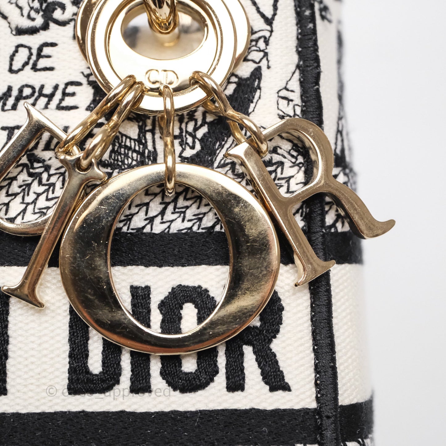 Christian Dior Mini Lady D-Lite Bag White/ Black Plan de Paris Embroidered