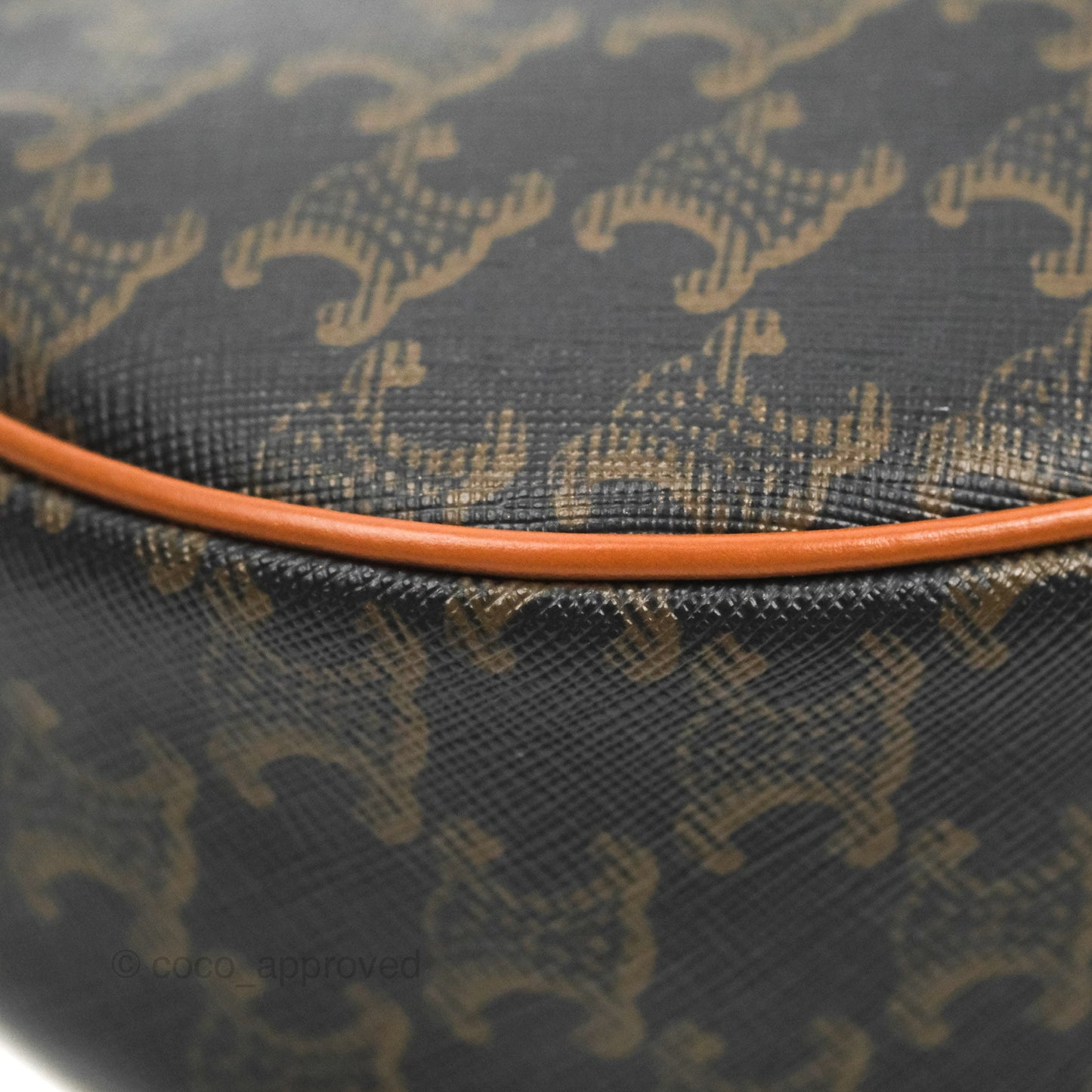 Celine Ava Bag In Triomphe Canvas Calfskin Tan