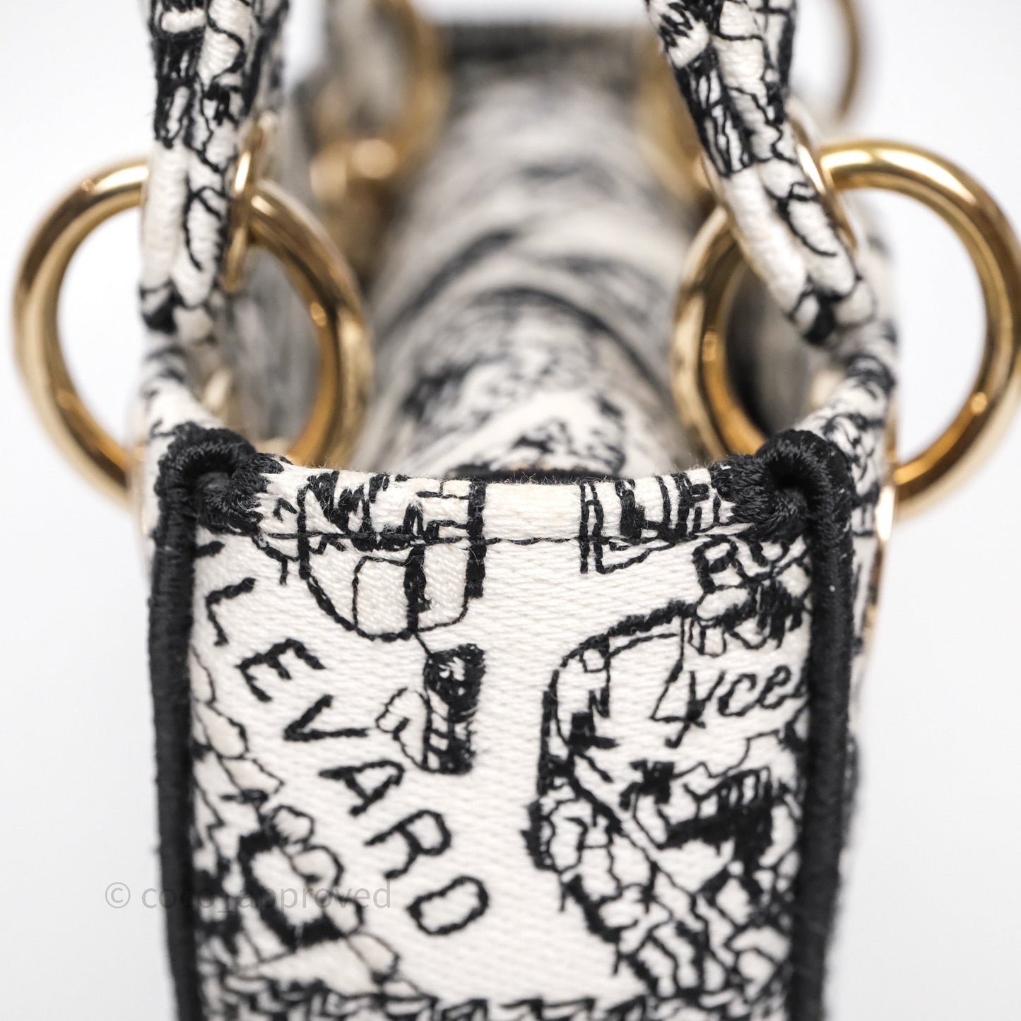 Christian Dior Mini Lady D-Lite Bag White/ Black Plan de Paris Embroidered
