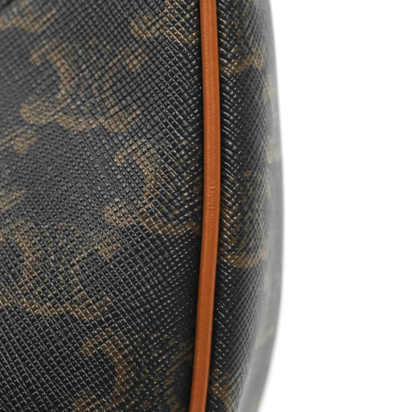 Celine Ava Bag In Triomphe Canvas Calfskin Tan