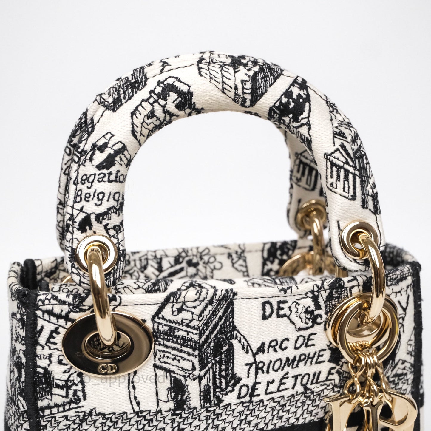 Christian Dior Mini Lady D-Lite Bag White/ Black Plan de Paris Embroidered