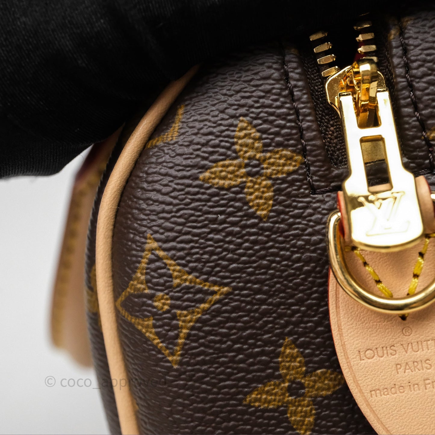 Louis Vuitton Speedy Bandoulière 20 Monogram