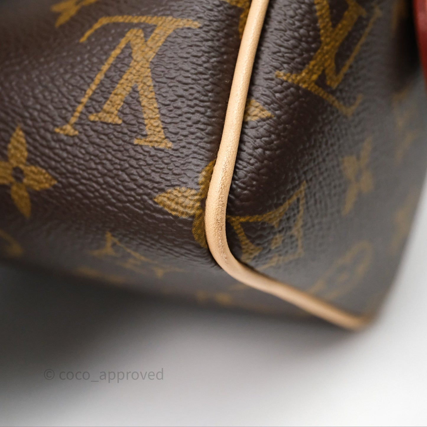 Louis Vuitton Speedy Bandoulière 20 Monogram
