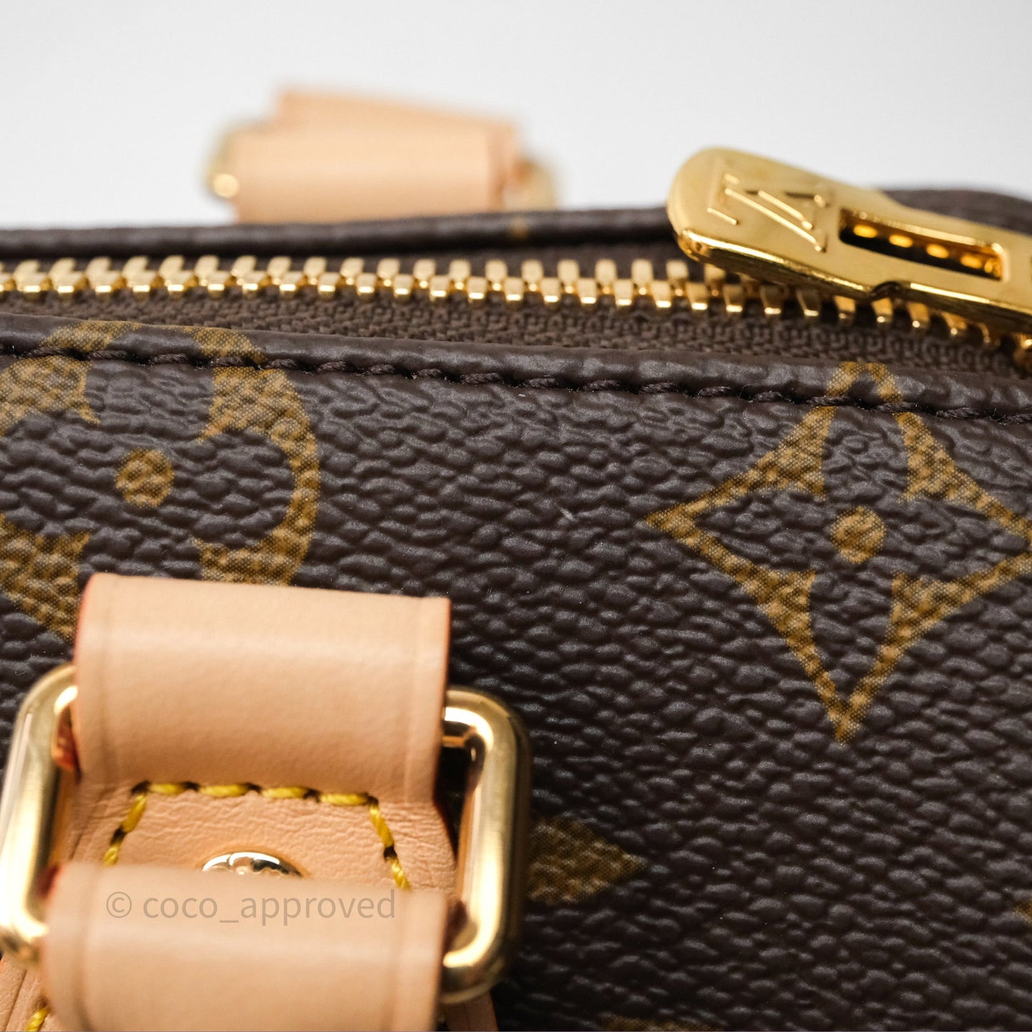 Louis Vuitton Speedy Bandoulière 20 Monogram