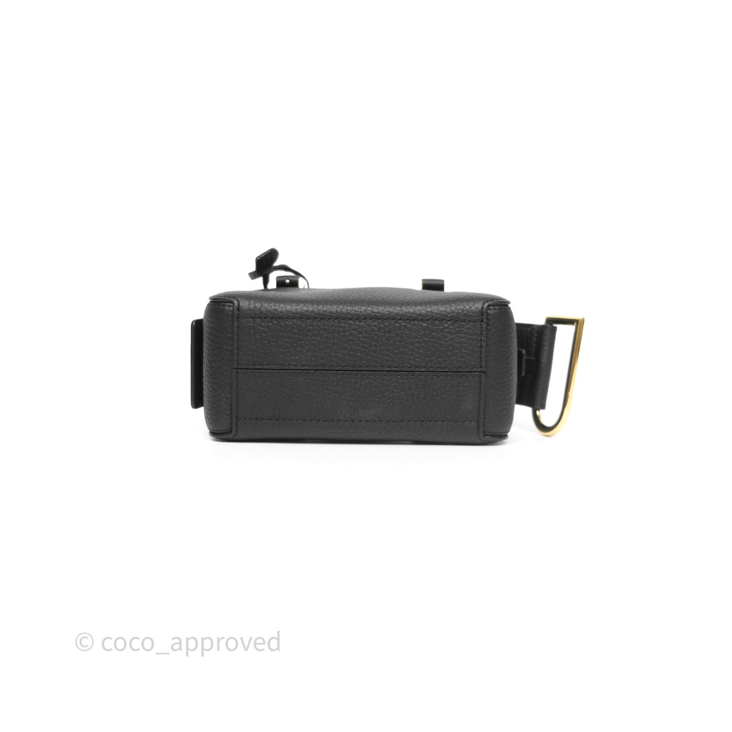 Delvaux Cool Box Nano Taurillon Soft Grained Calfskin Black Gold Hardware