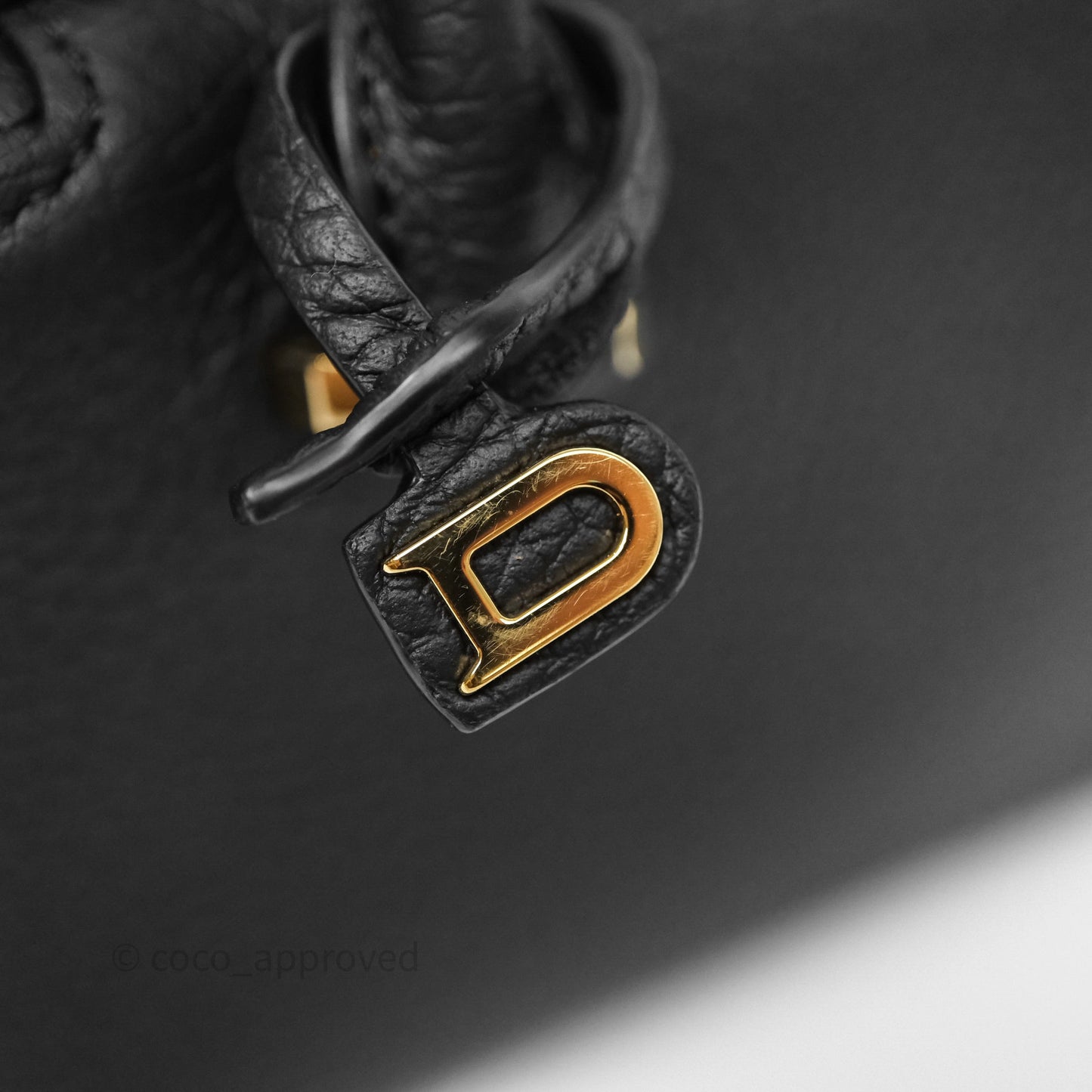 Delvaux Cool Box Nano Taurillon Soft Grained Calfskin Black Gold Hardware