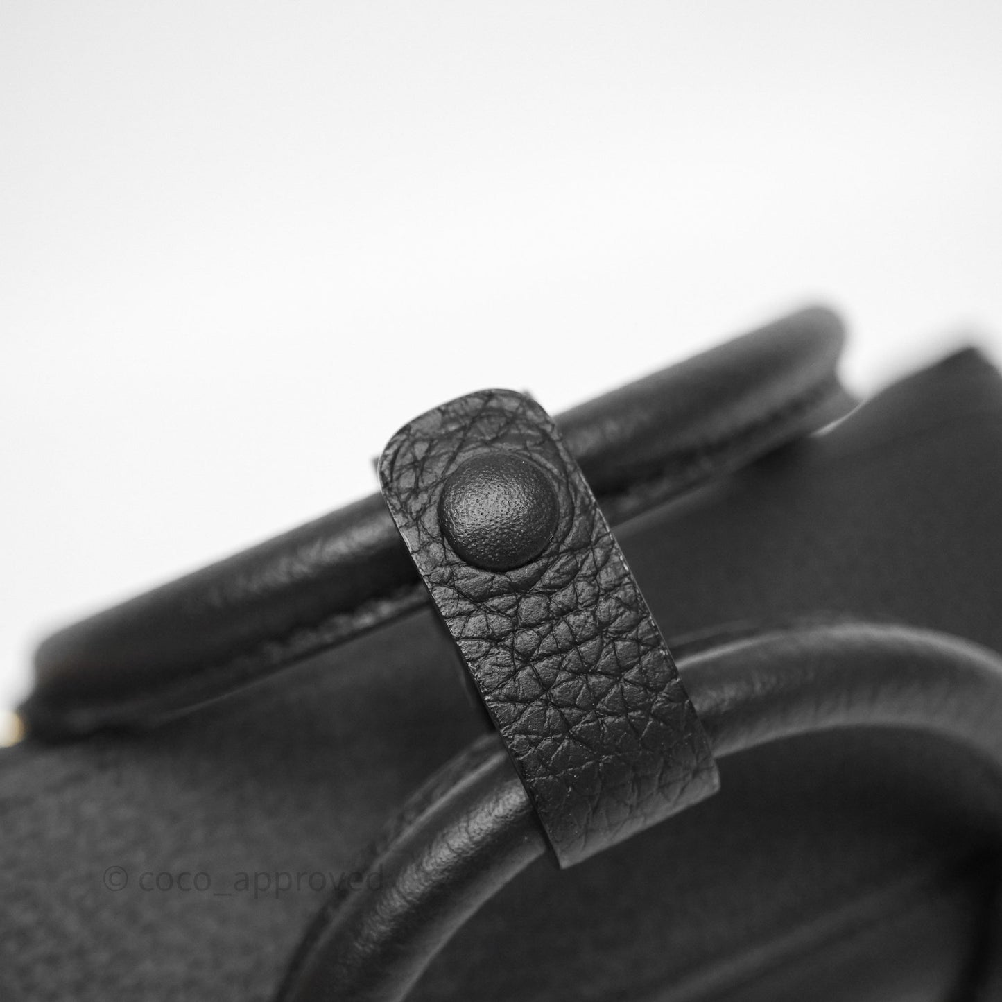Delvaux Cool Box Nano Taurillon Soft Grained Calfskin Black Gold Hardware