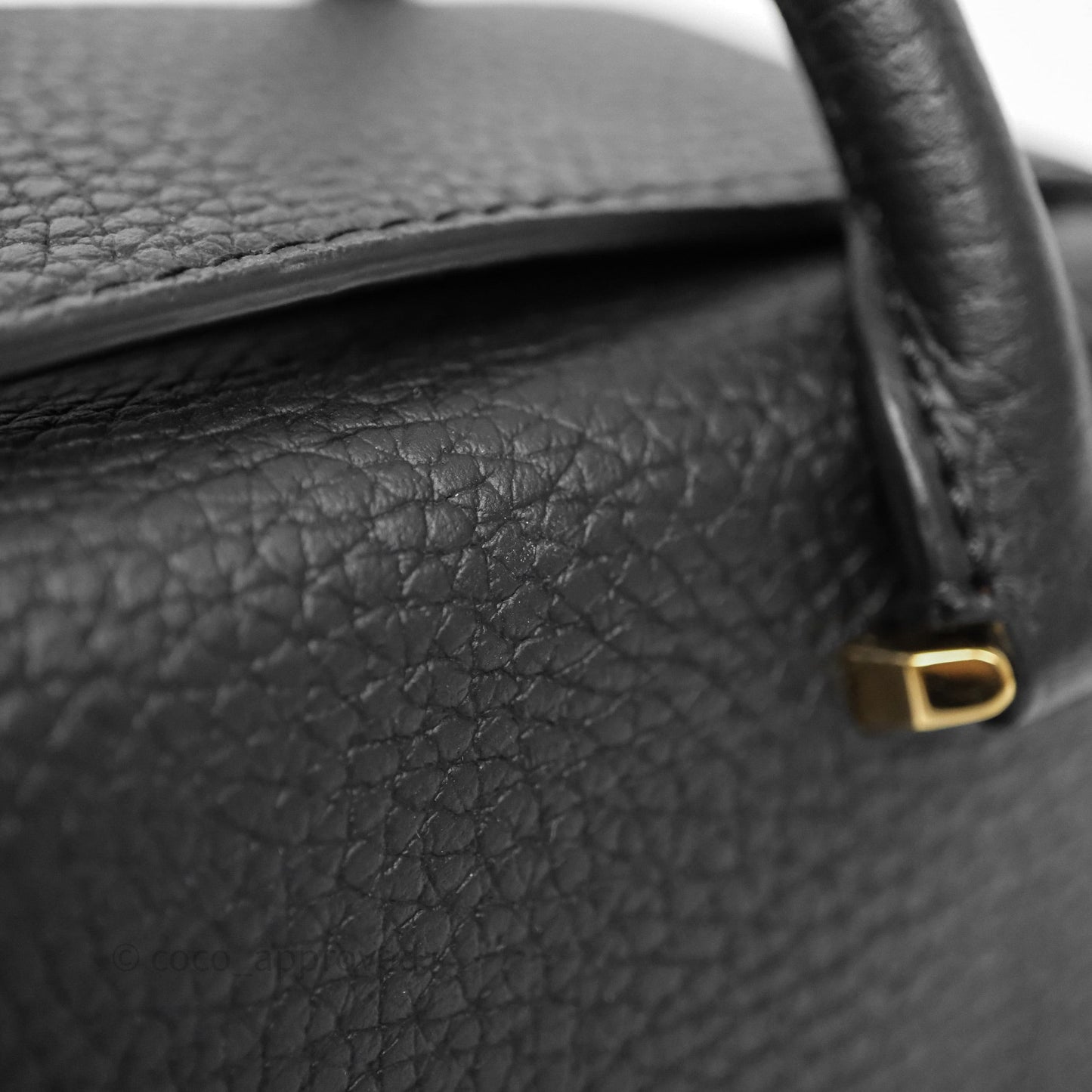 Delvaux Cool Box Nano Taurillon Soft Grained Calfskin Black Gold Hardware