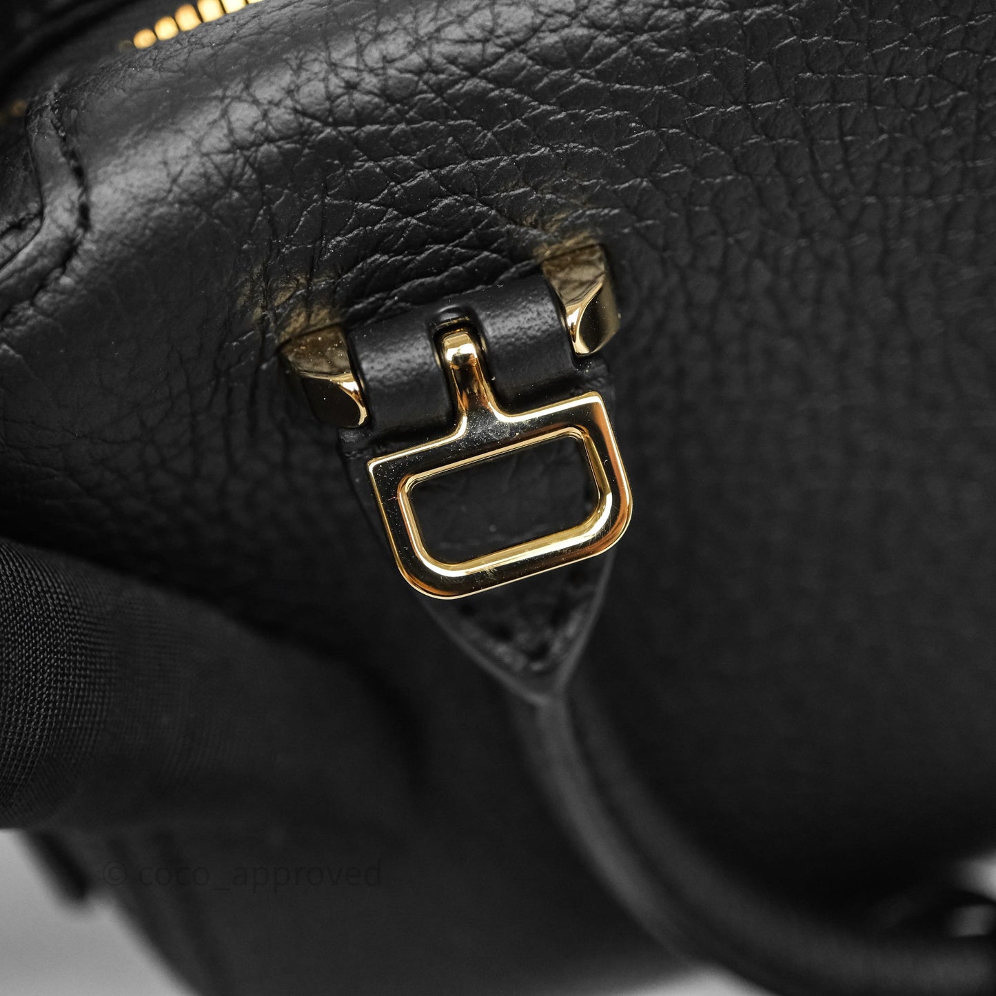 Delvaux Cool Box Nano Taurillon Soft Grained Calfskin Black Gold Hardware