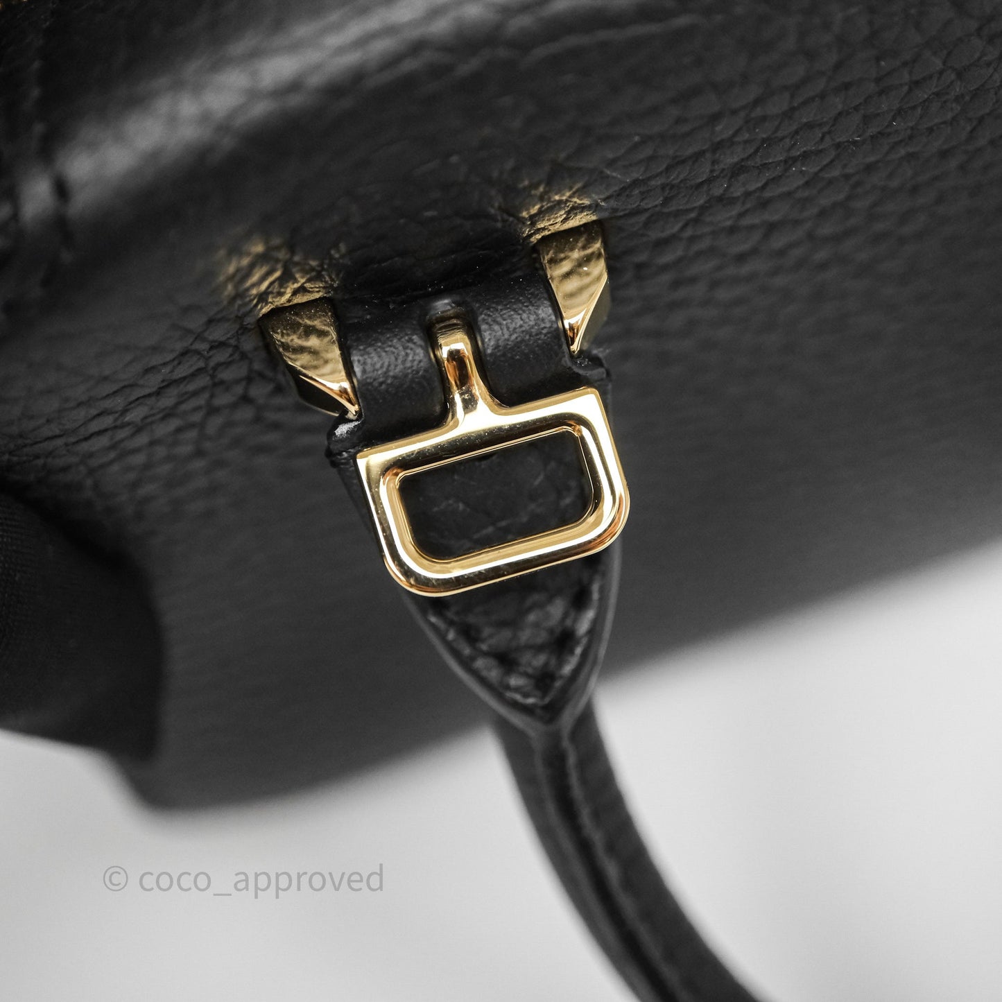 Delvaux Cool Box Nano Taurillon Soft Grained Calfskin Black Gold Hardware