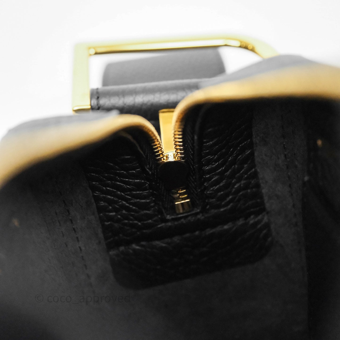 Delvaux Cool Box Nano Taurillon Soft Grained Calfskin Black Gold Hardware