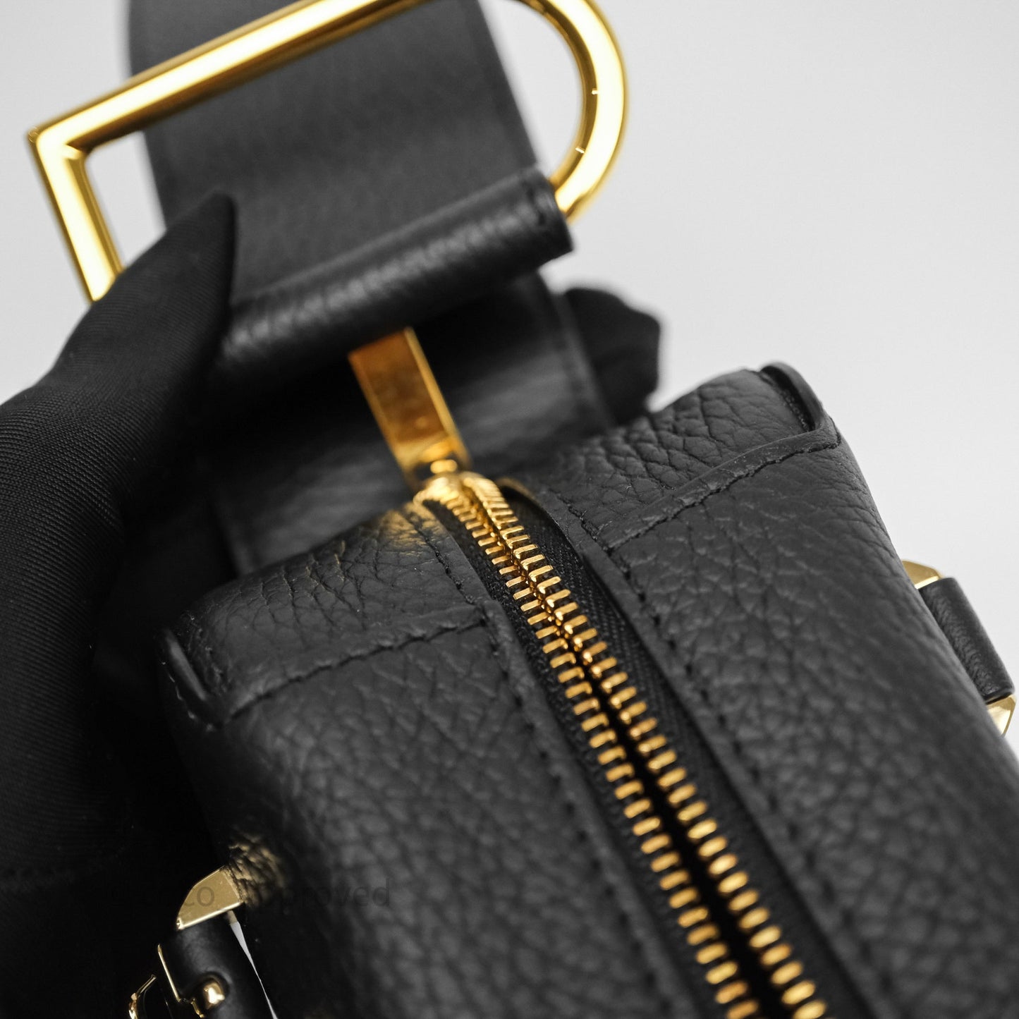 Delvaux Cool Box Nano Taurillon Soft Grained Calfskin Black Gold Hardware