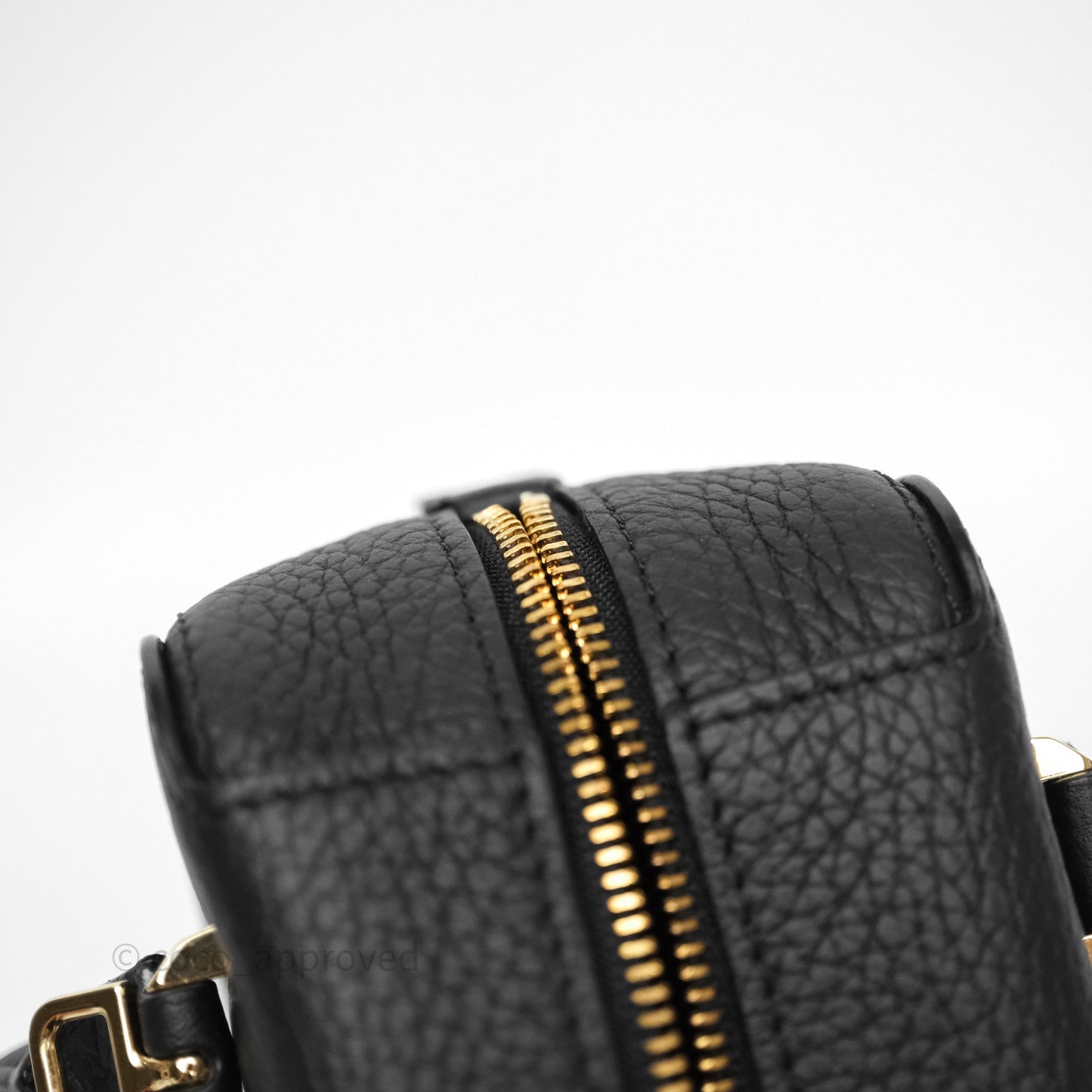 Delvaux Cool Box Nano Taurillon Soft Grained Calfskin Black Gold Hardware