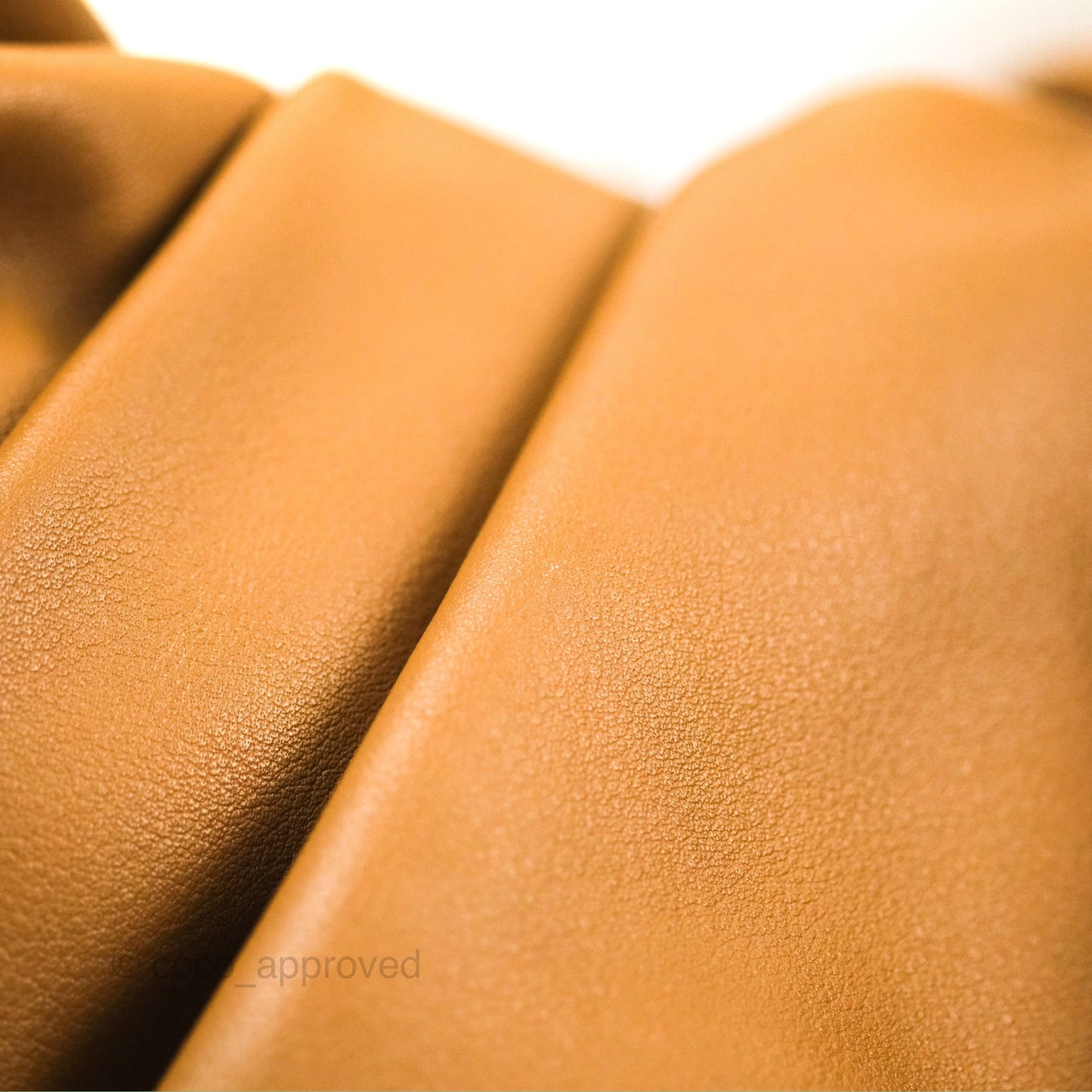 Bottega Veneta The Should Pouch Tan Calfskin