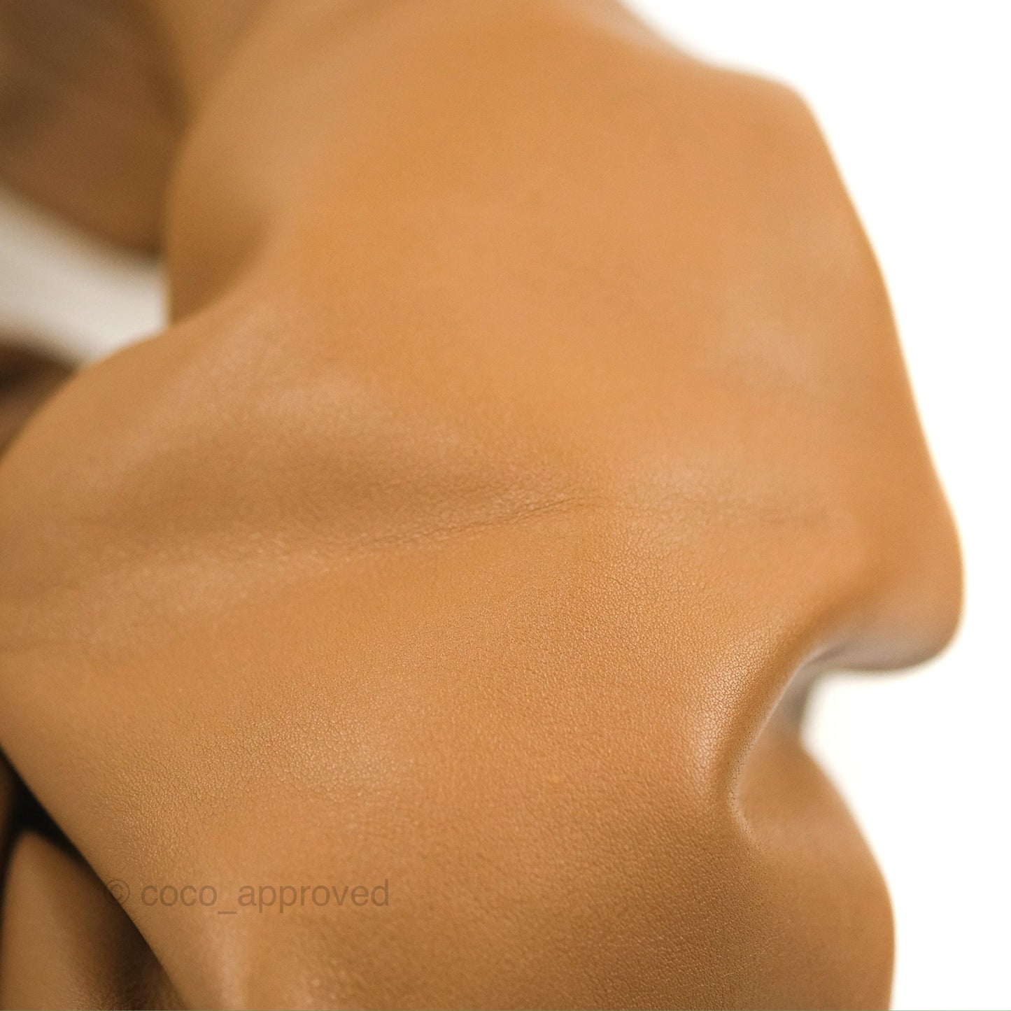 Bottega Veneta The Should Pouch Tan Calfskin