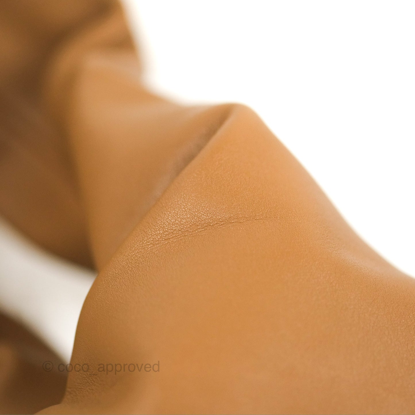 Bottega Veneta The Should Pouch Tan Calfskin