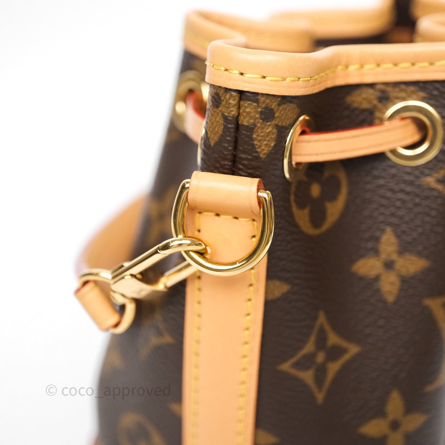 Louis Vuitton Nano Noe Monogram