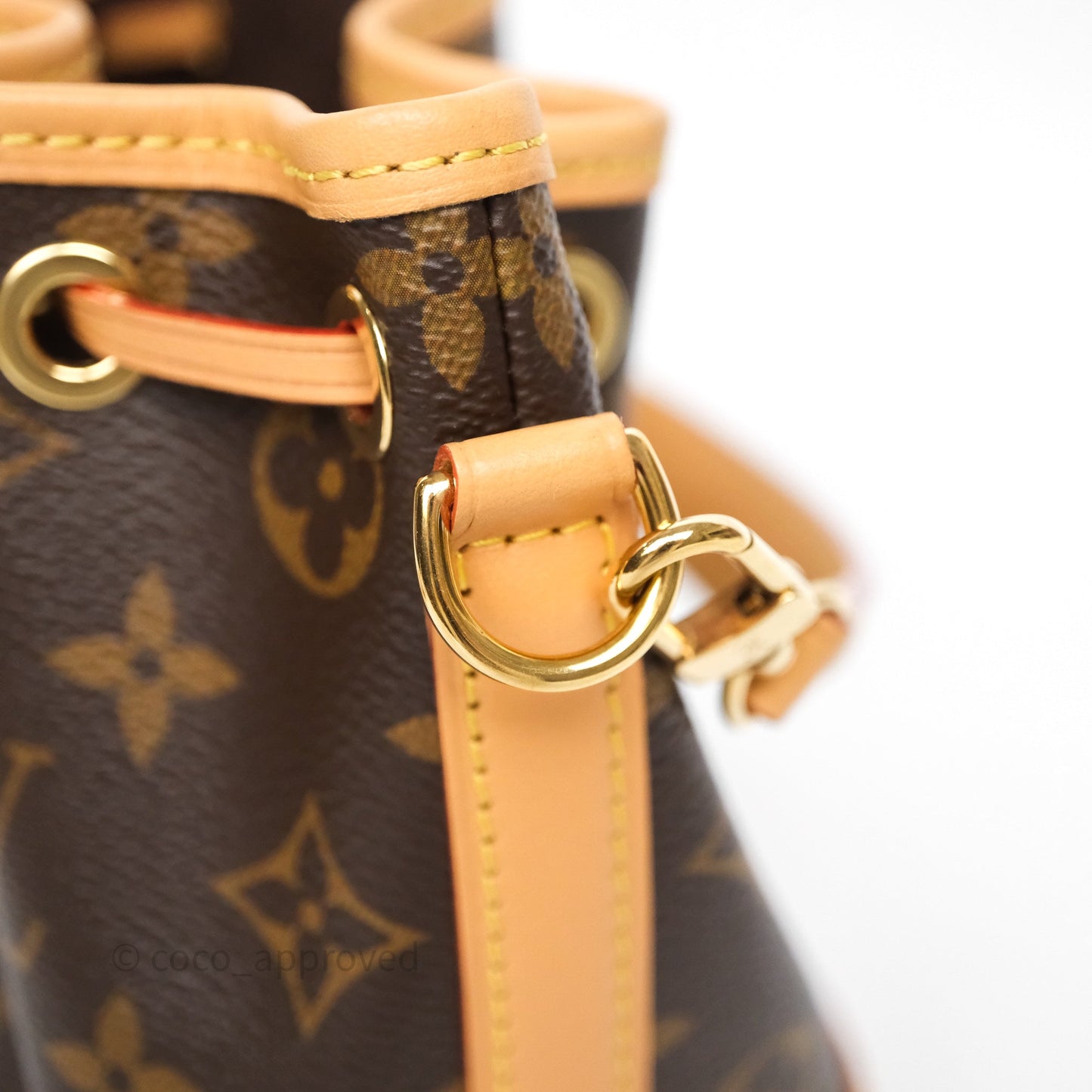Louis Vuitton Nano Noe Monogram