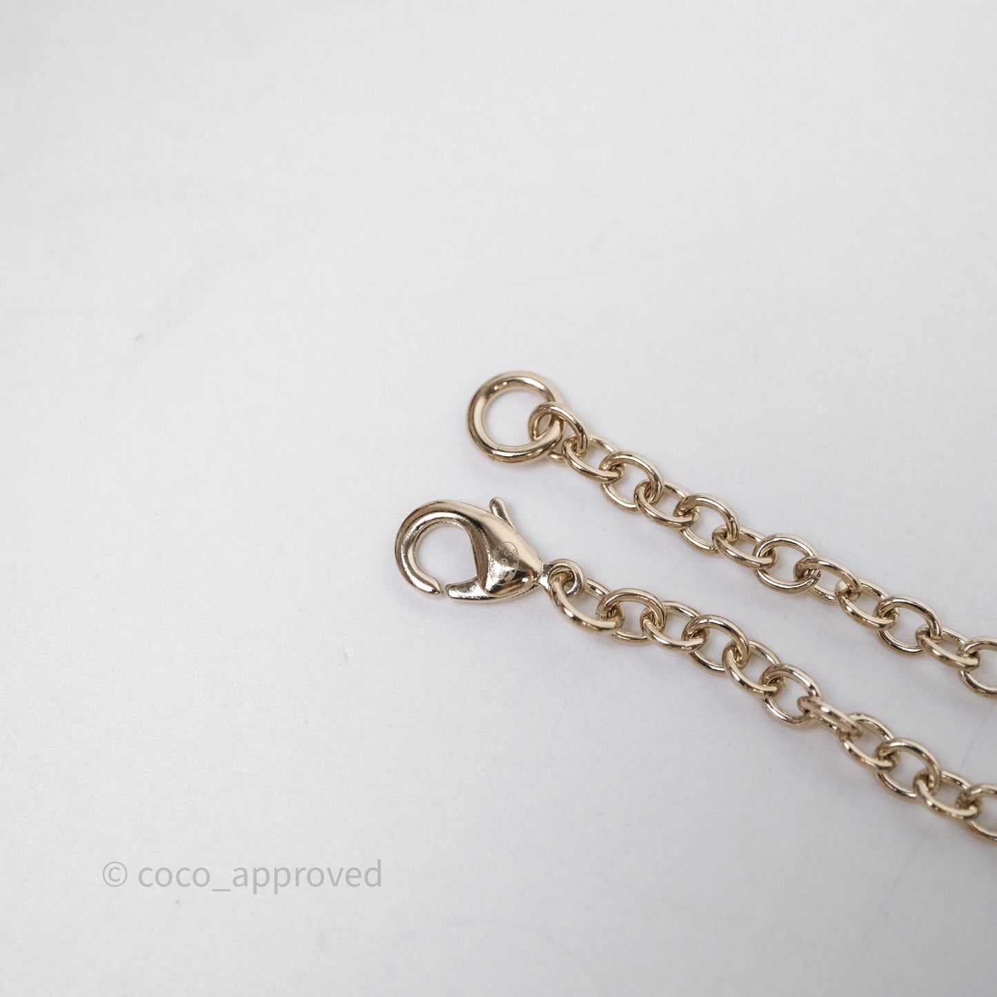 Chanel CC Logo Lion Book Locket Black/Light Gold Necklace 22C