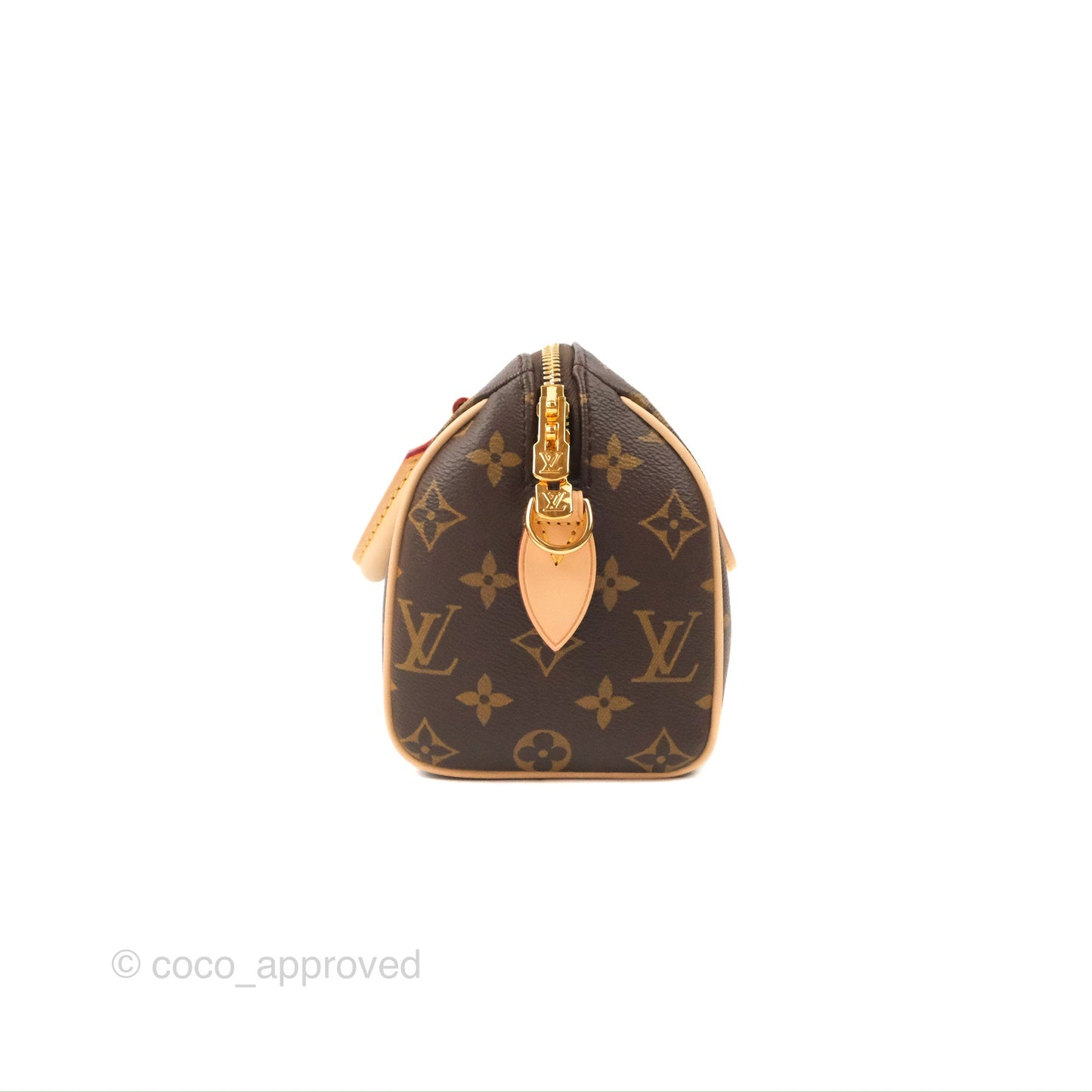 Louis Vuitton Speedy Bandoulière 20 Monogram